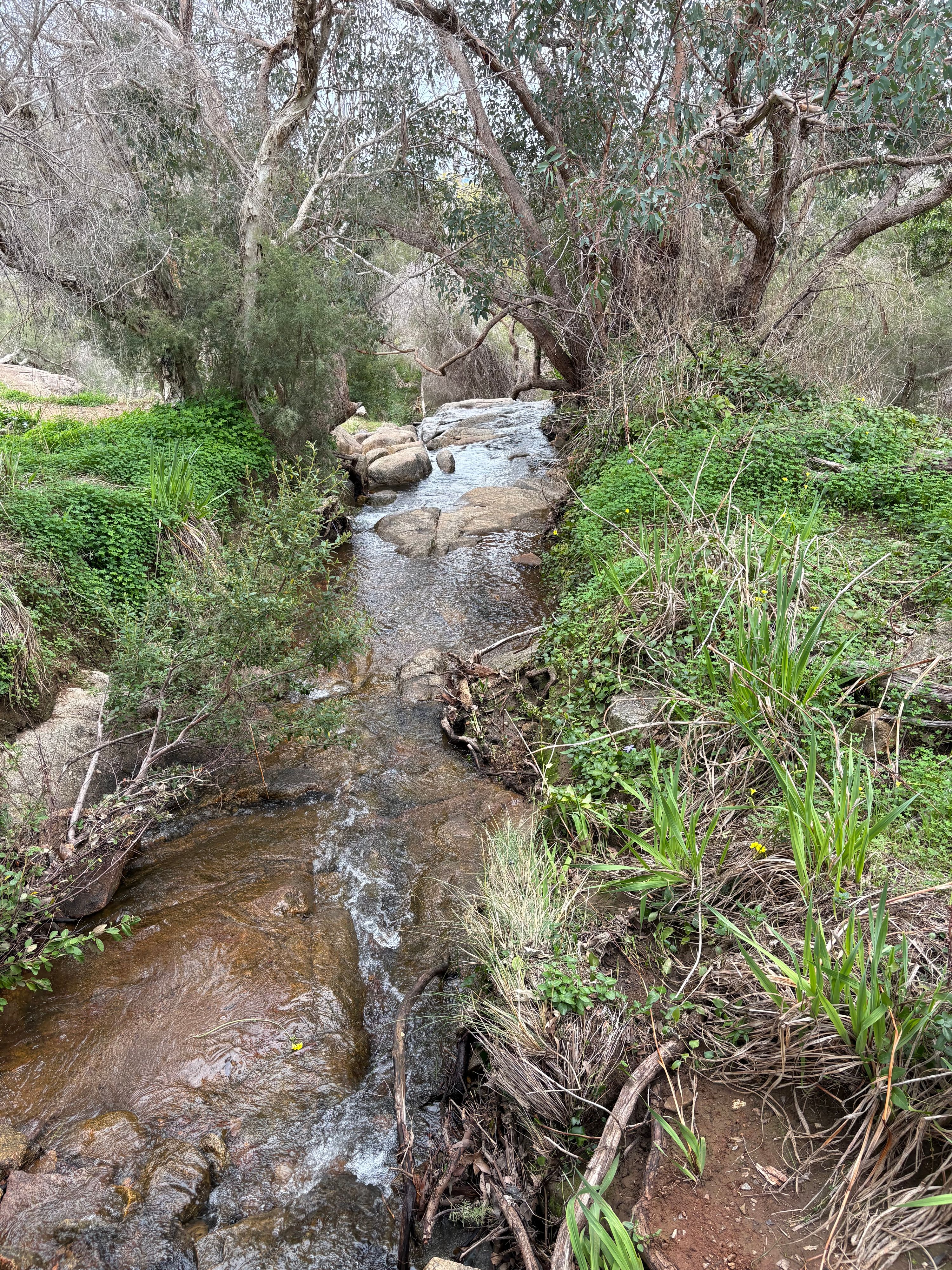 Thông tin Whilstepipe Gully Trail - Image 2