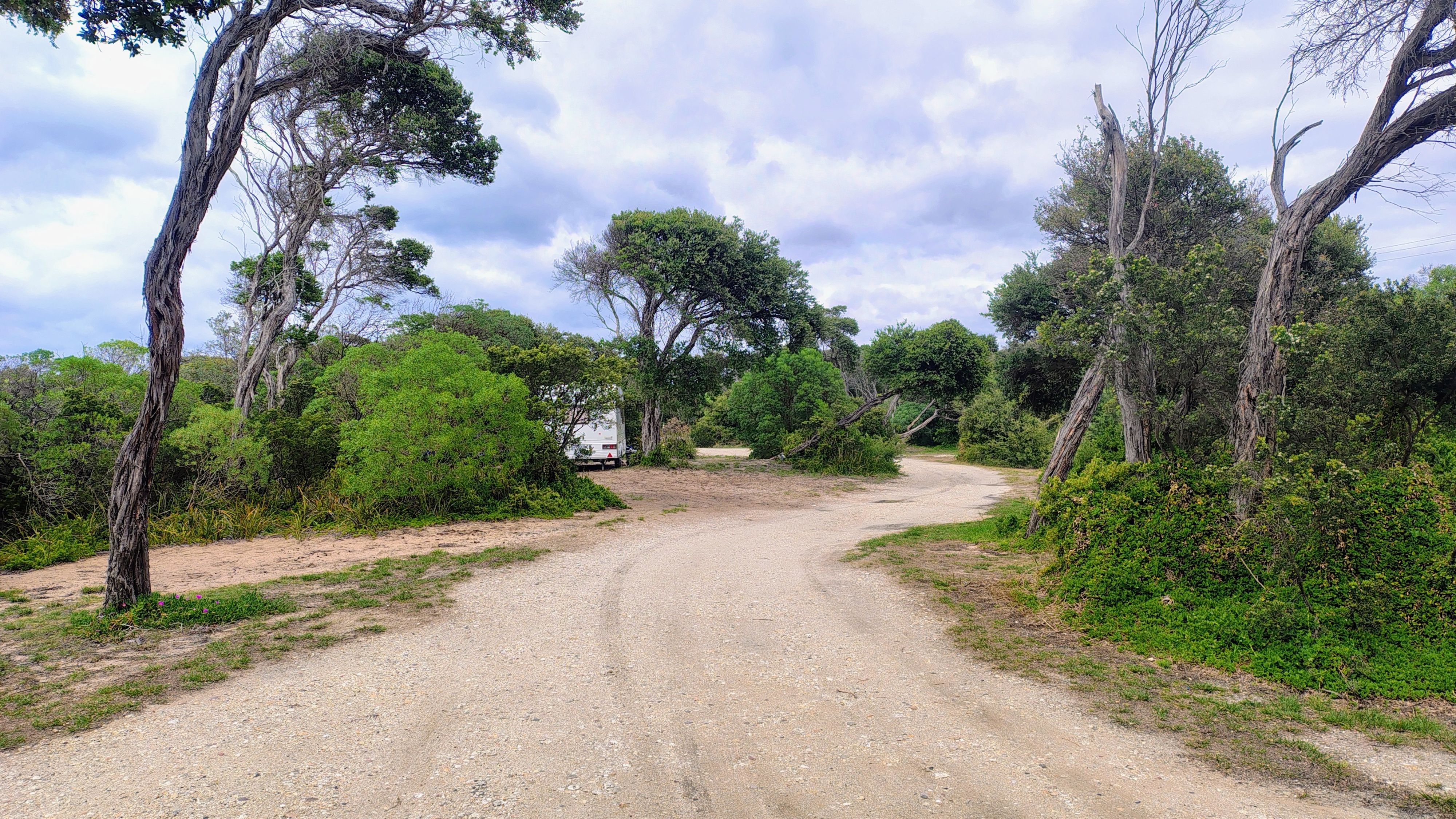 C2 Campground Gippsland Lakes Coastal Park - Image 3