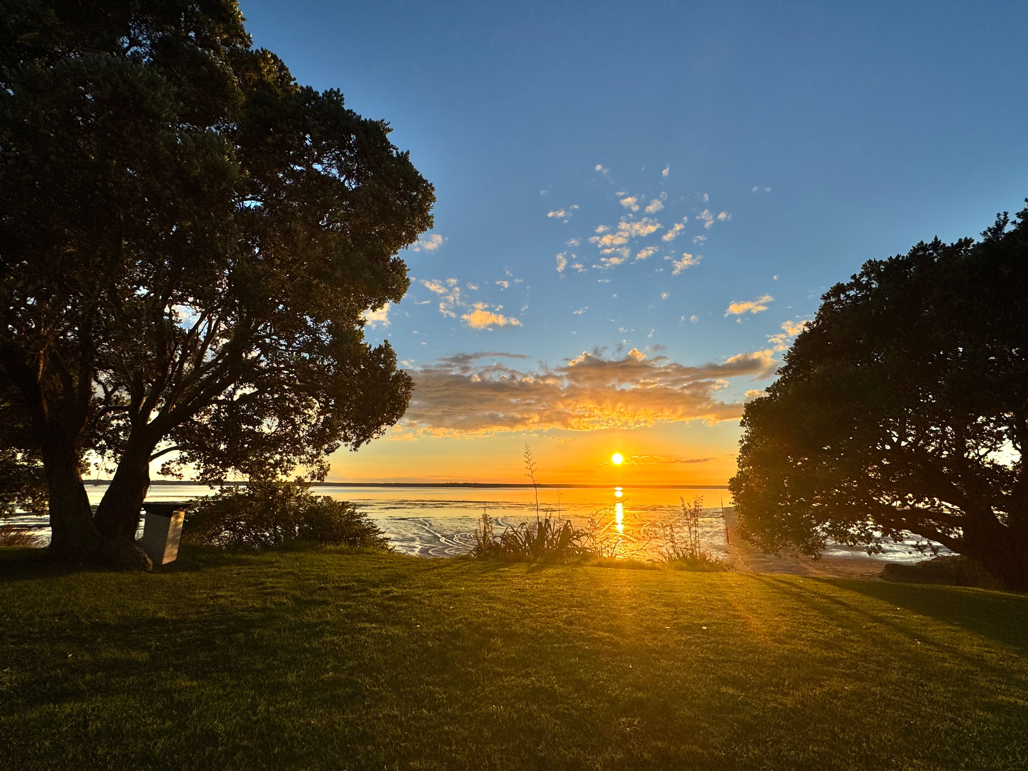 MacMillan Reserve - Image 3