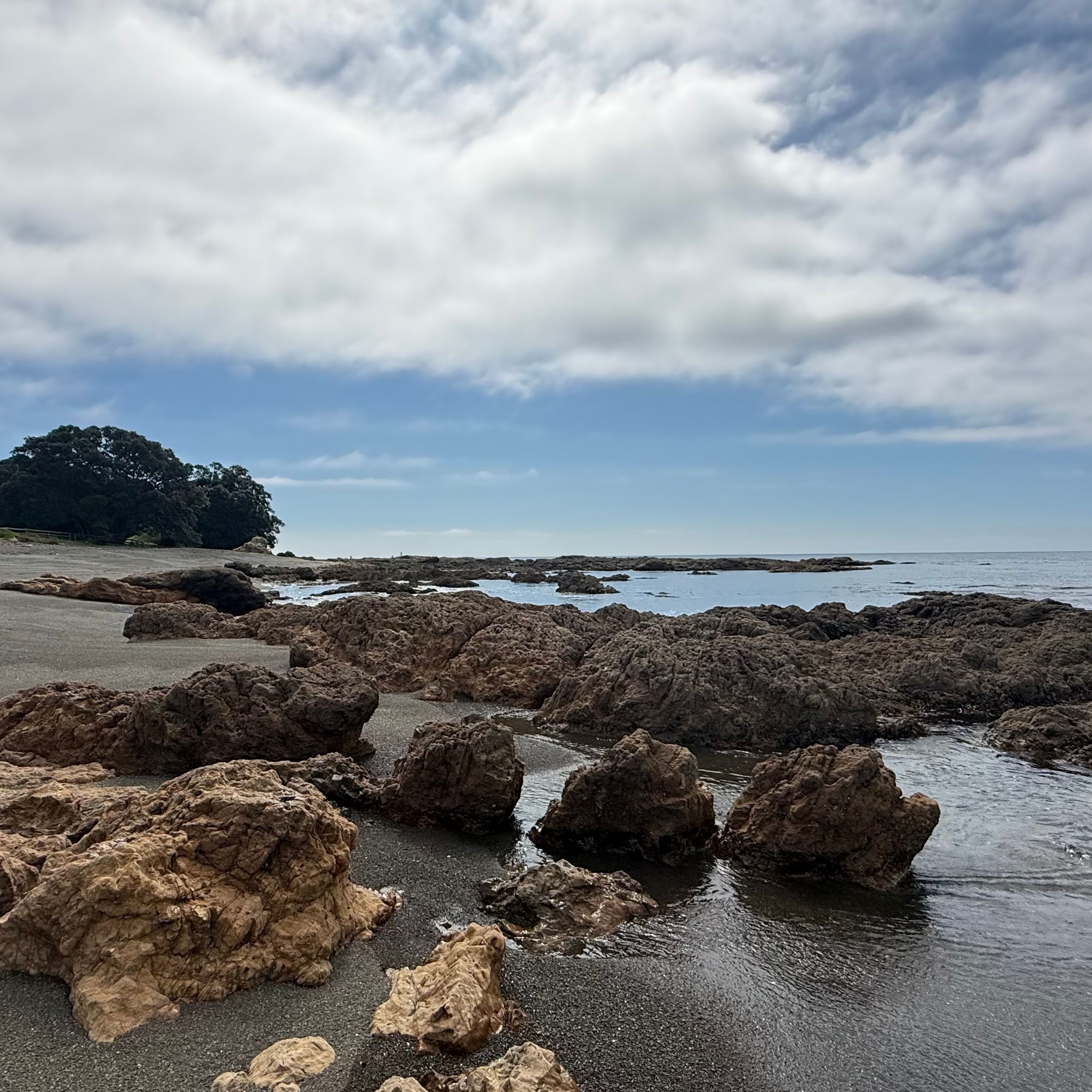 旅行者のTe Kaha Reserve, Maraetai Bayの写真