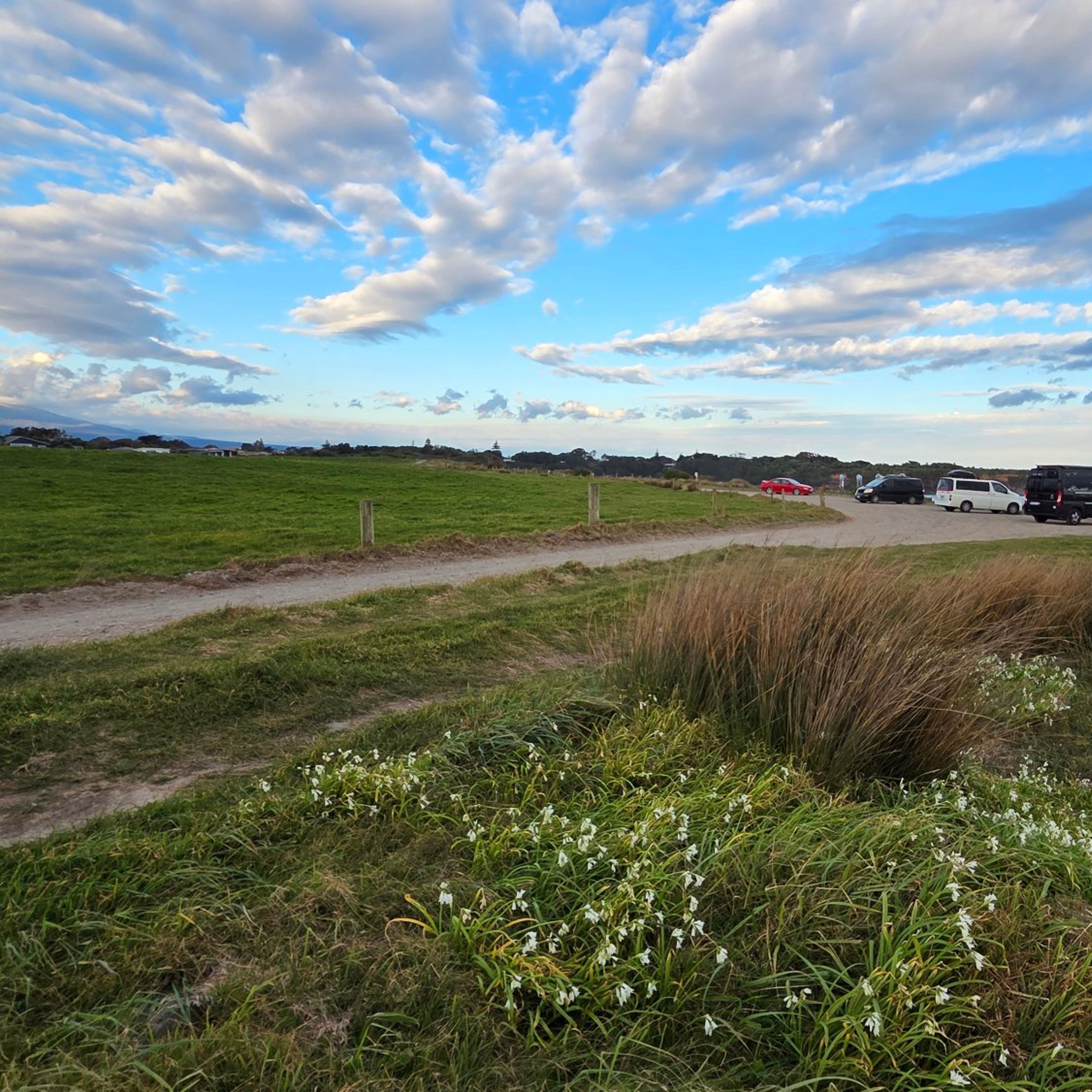 旅行者のOpunake Northern Headland Carparkの写真