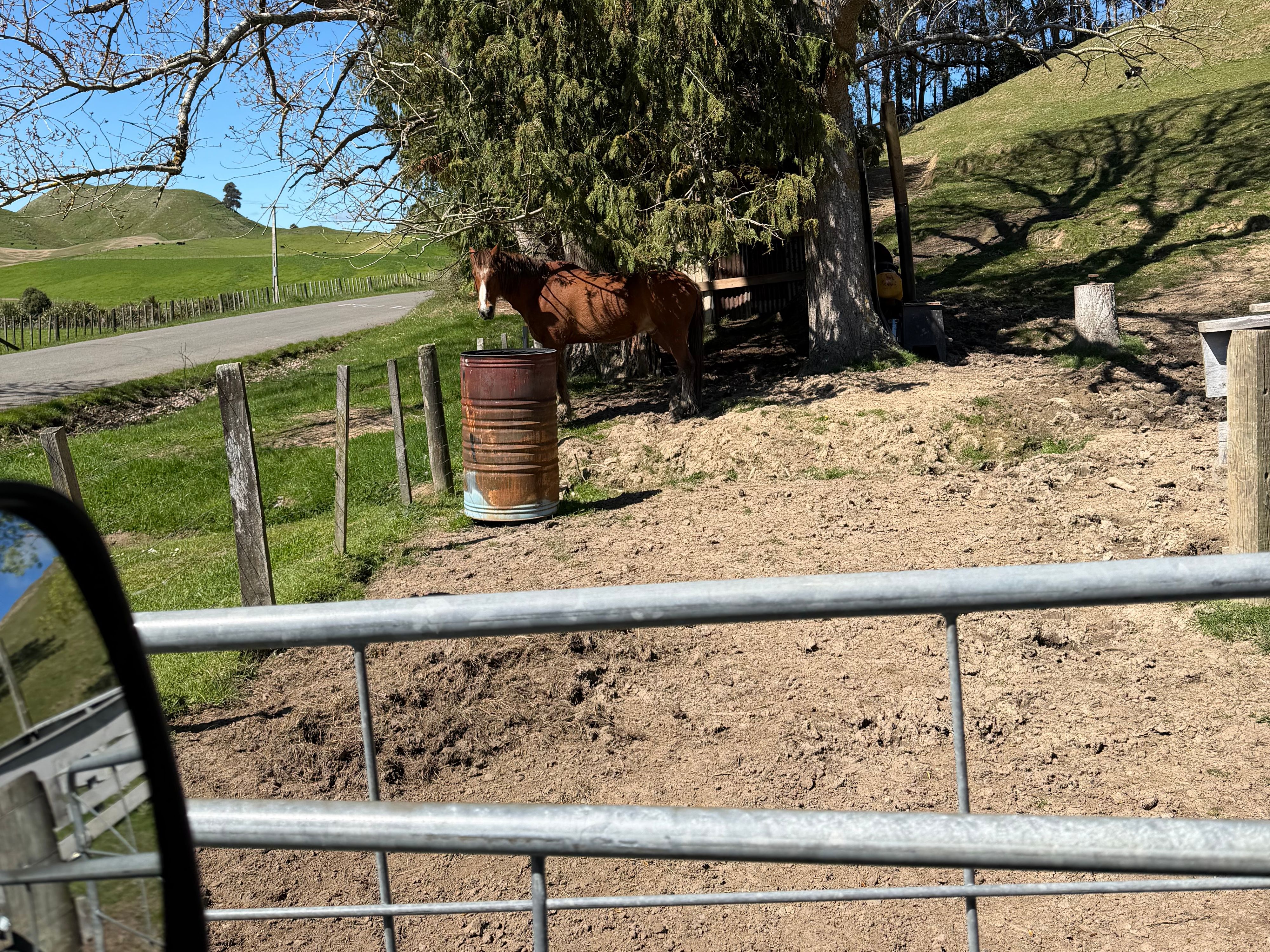 Reisefoto von Sanctuary Farm