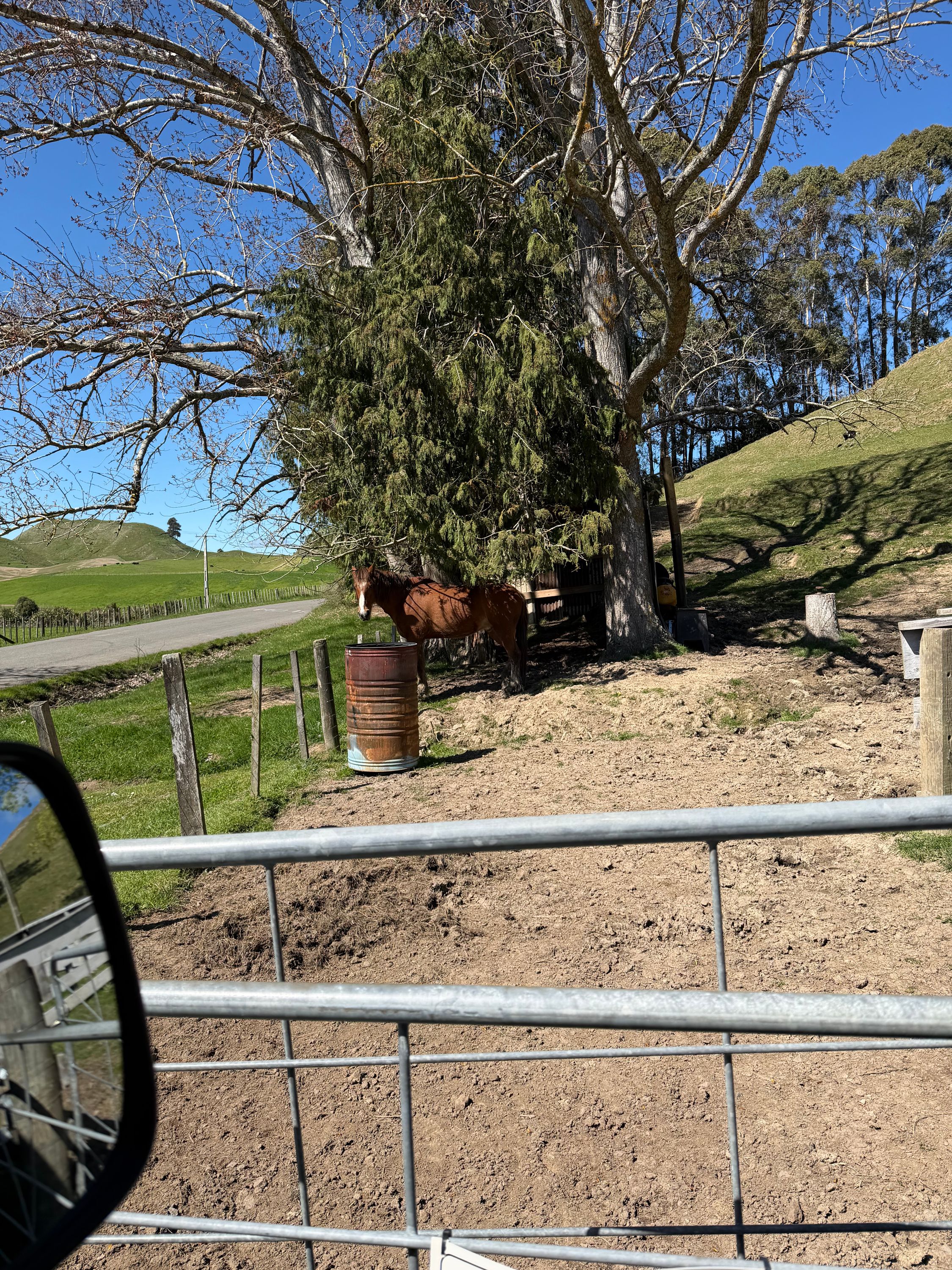 Reisefoto von Sanctuary Farm