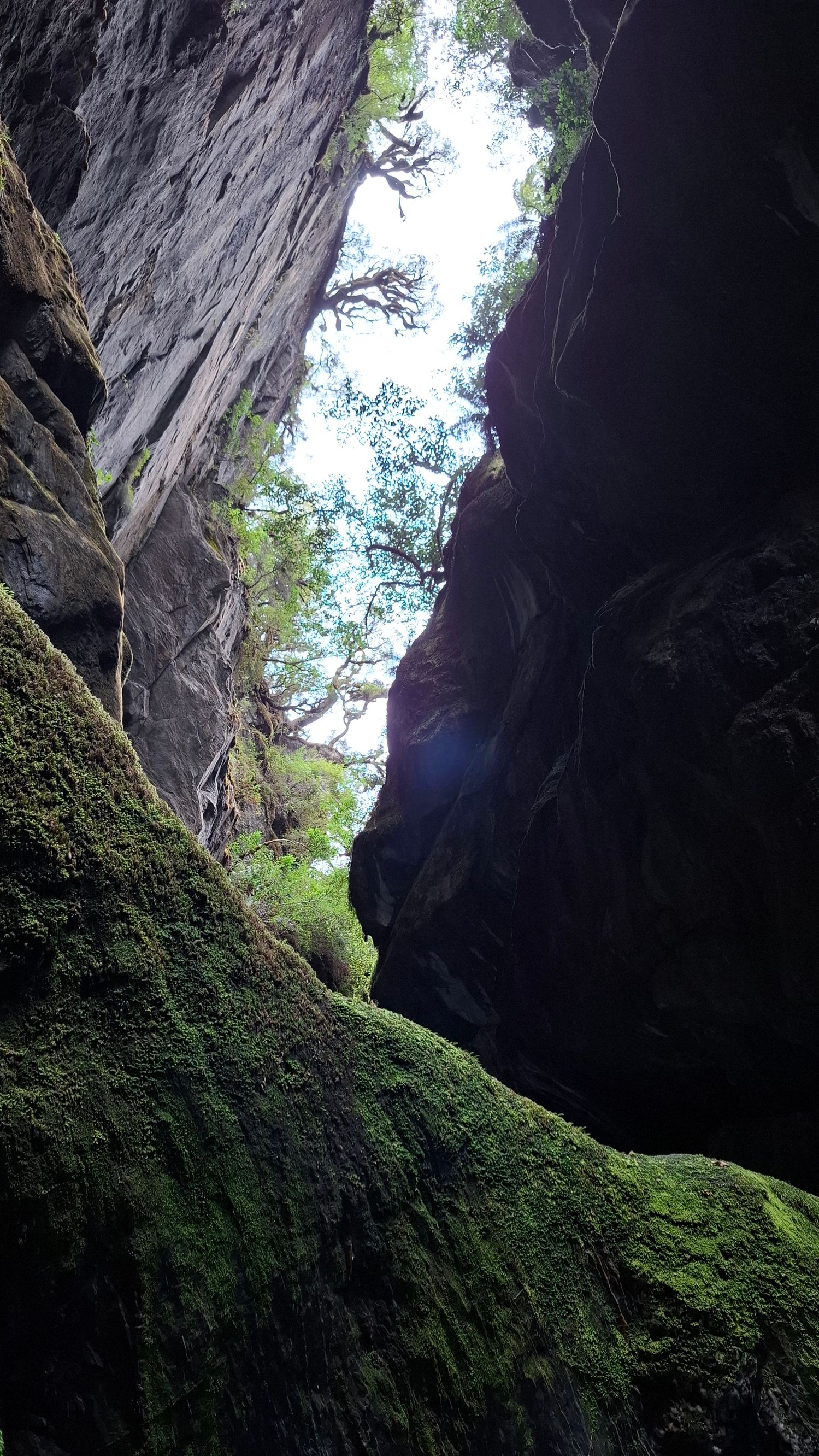Wilson's Creek Chasm - Image 3