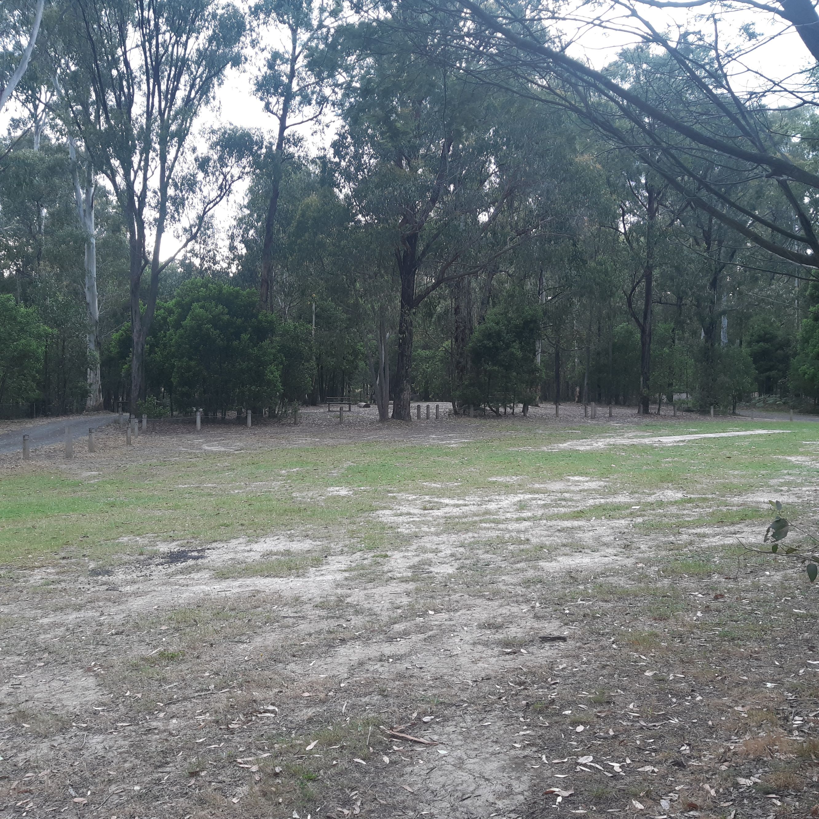 Number One Camp - Image 2