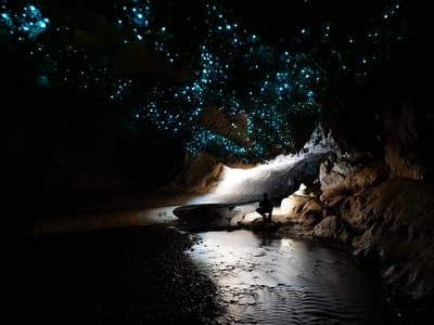 Lähde: Milky Way Glow Worm Cave