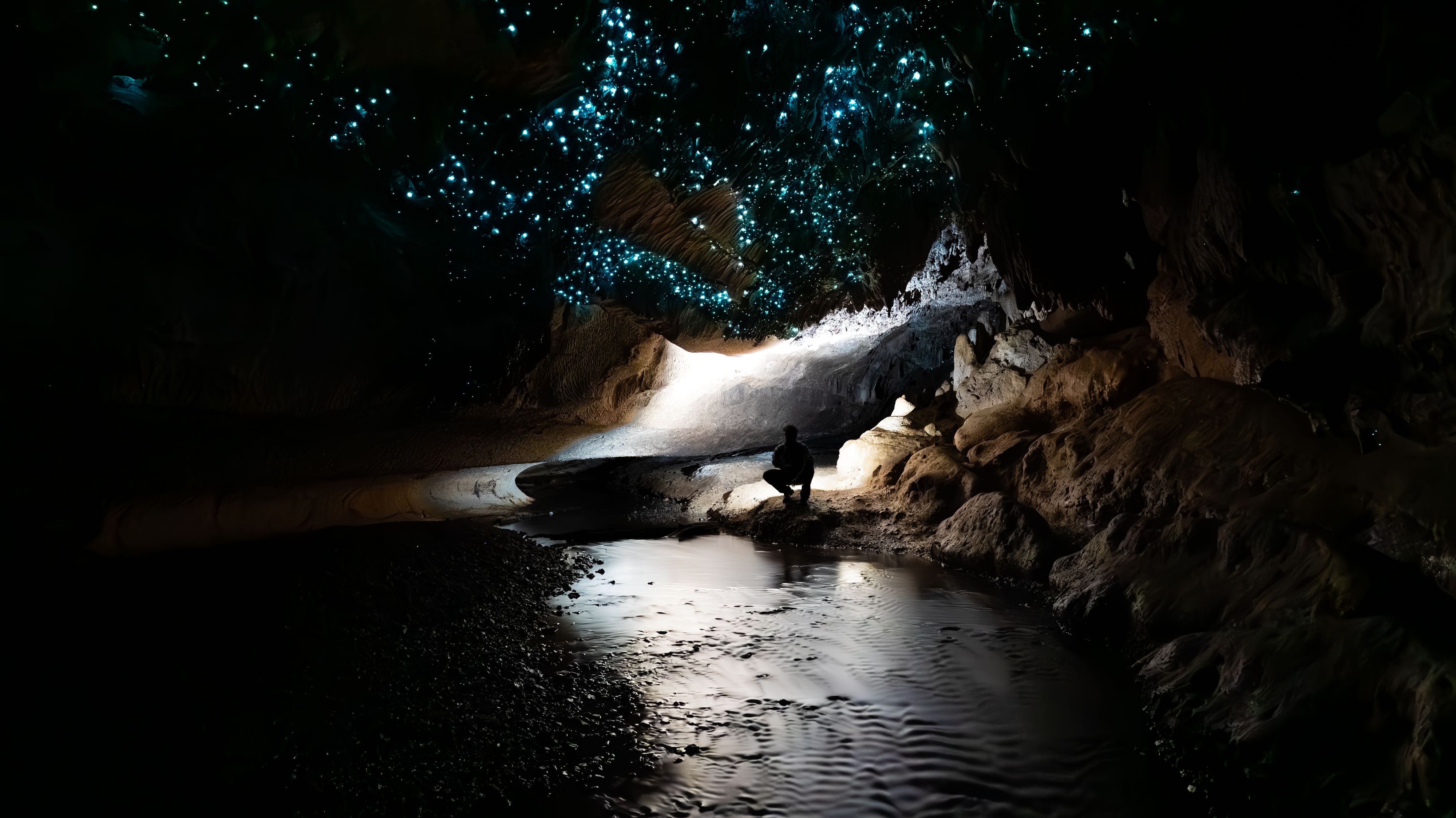 Milky Way Glow Worm Cave 근처 오락거리