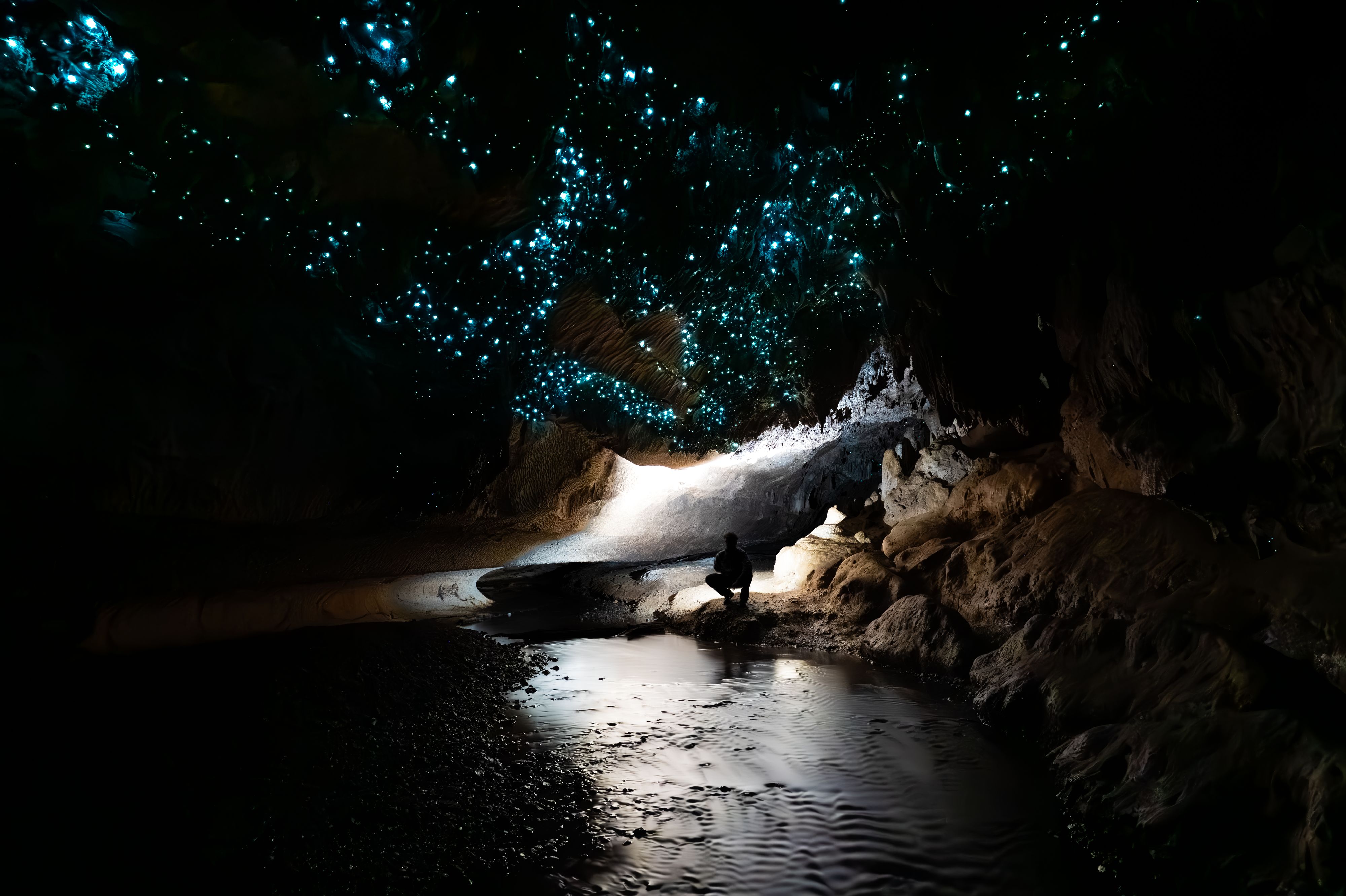 Vía Láctea Glow Worm Cave