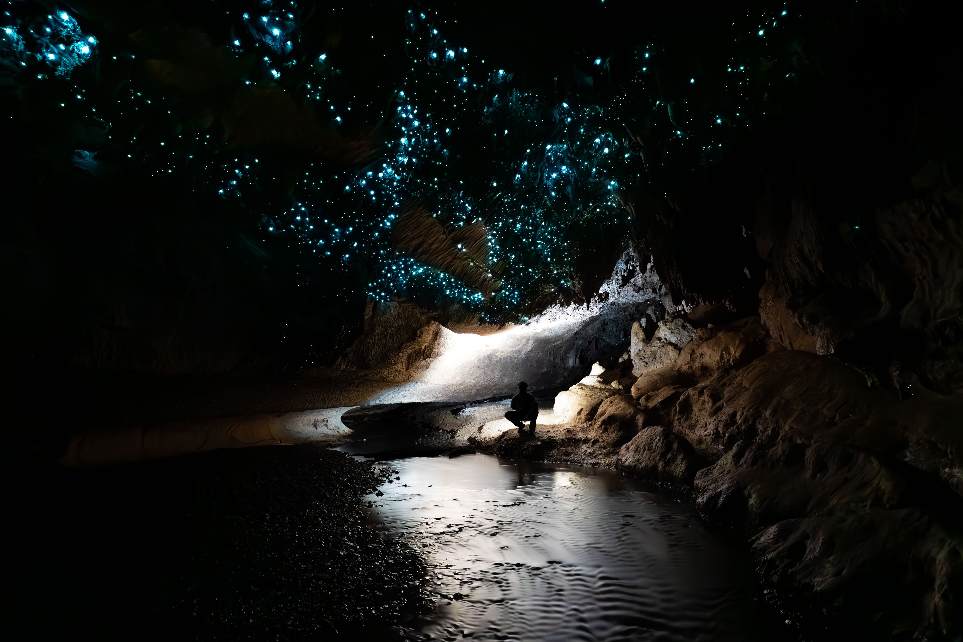 Milky Way Glow Worm Cave