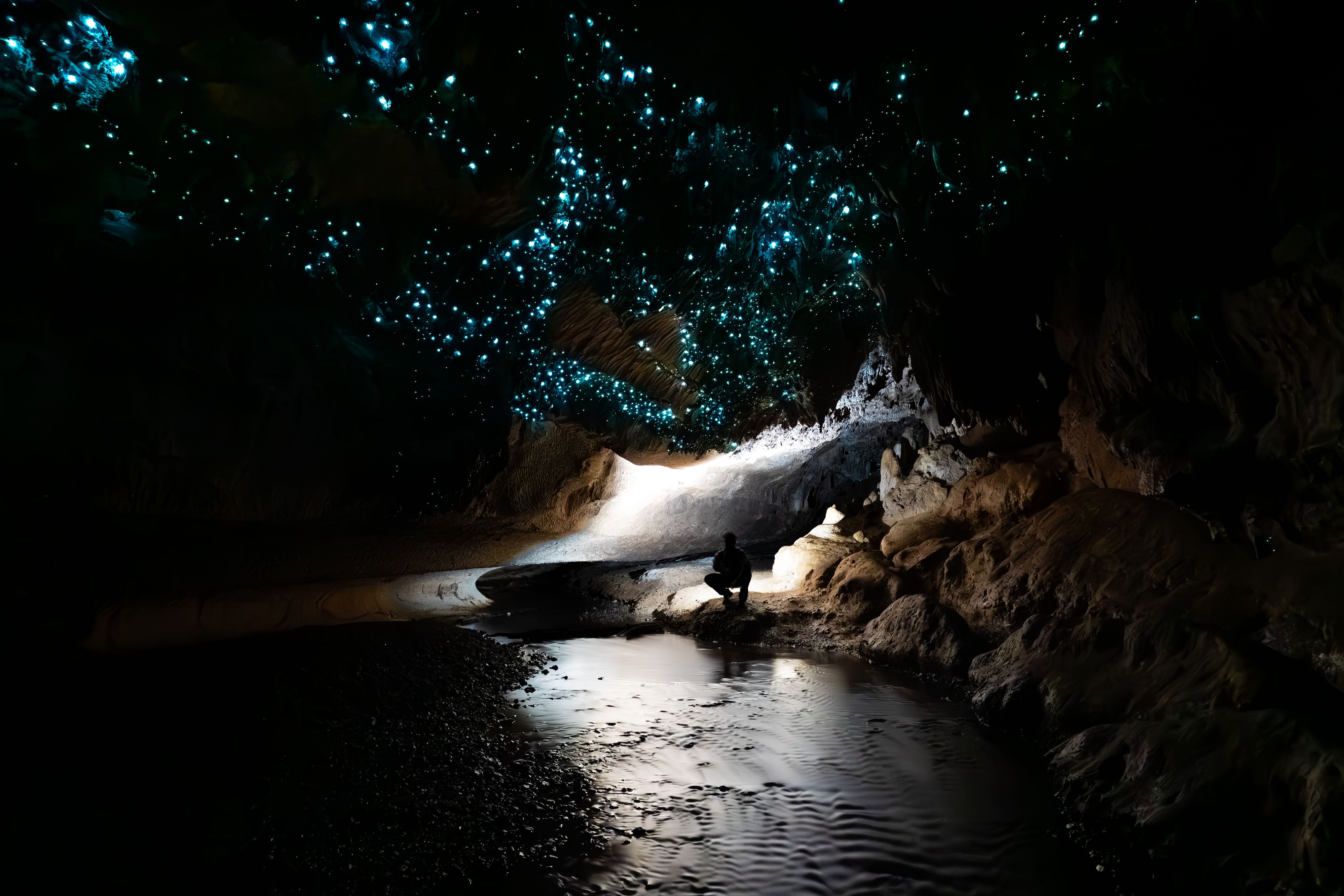 Lähde: Milky Way Glow Worm Cave