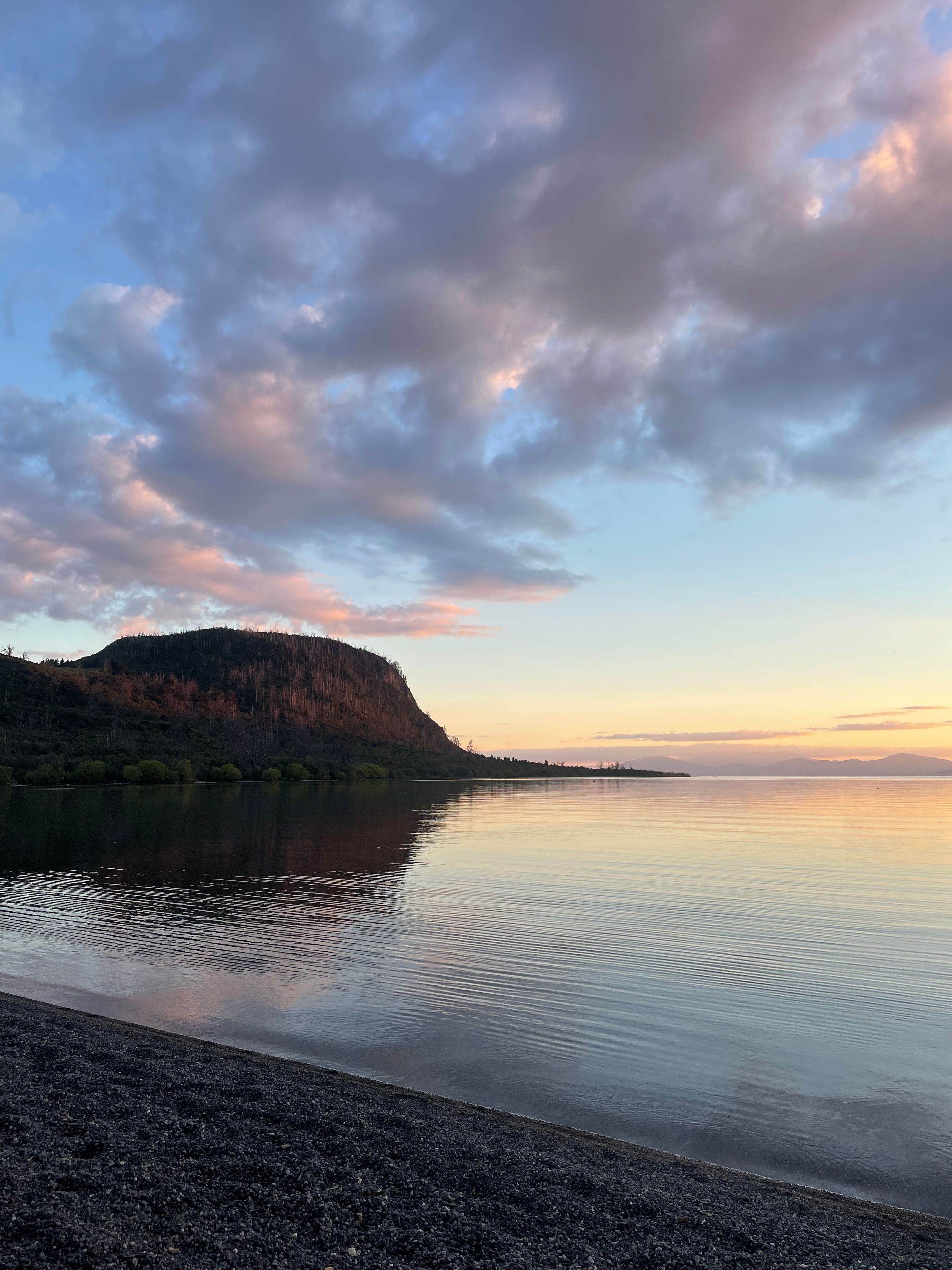 Traveller photo of Whakaipo Bay Freedom Camping Area
