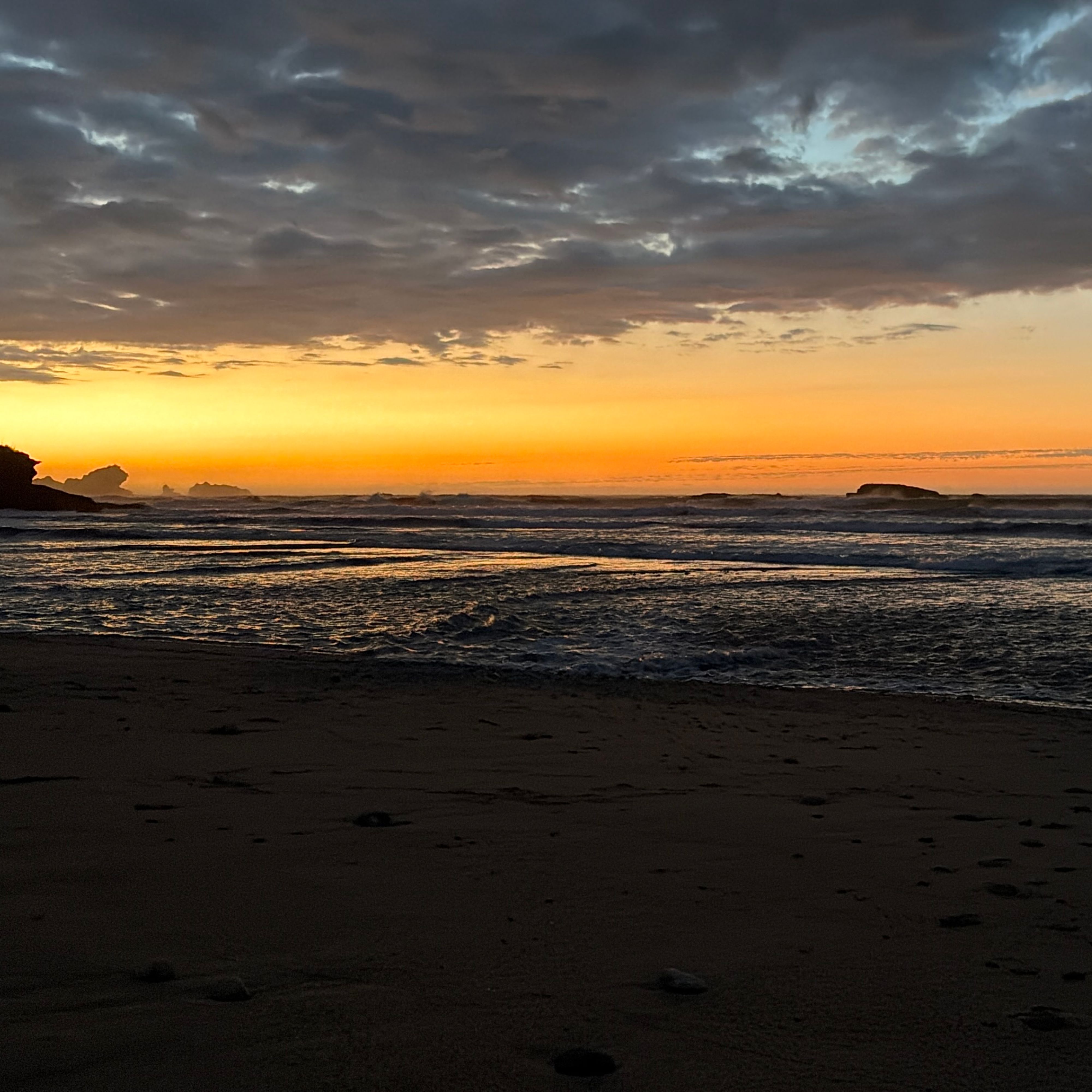 旅行者のFox River / Potikohua Freedom Camping Siteの写真