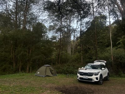 Reserva de Dingo Creek