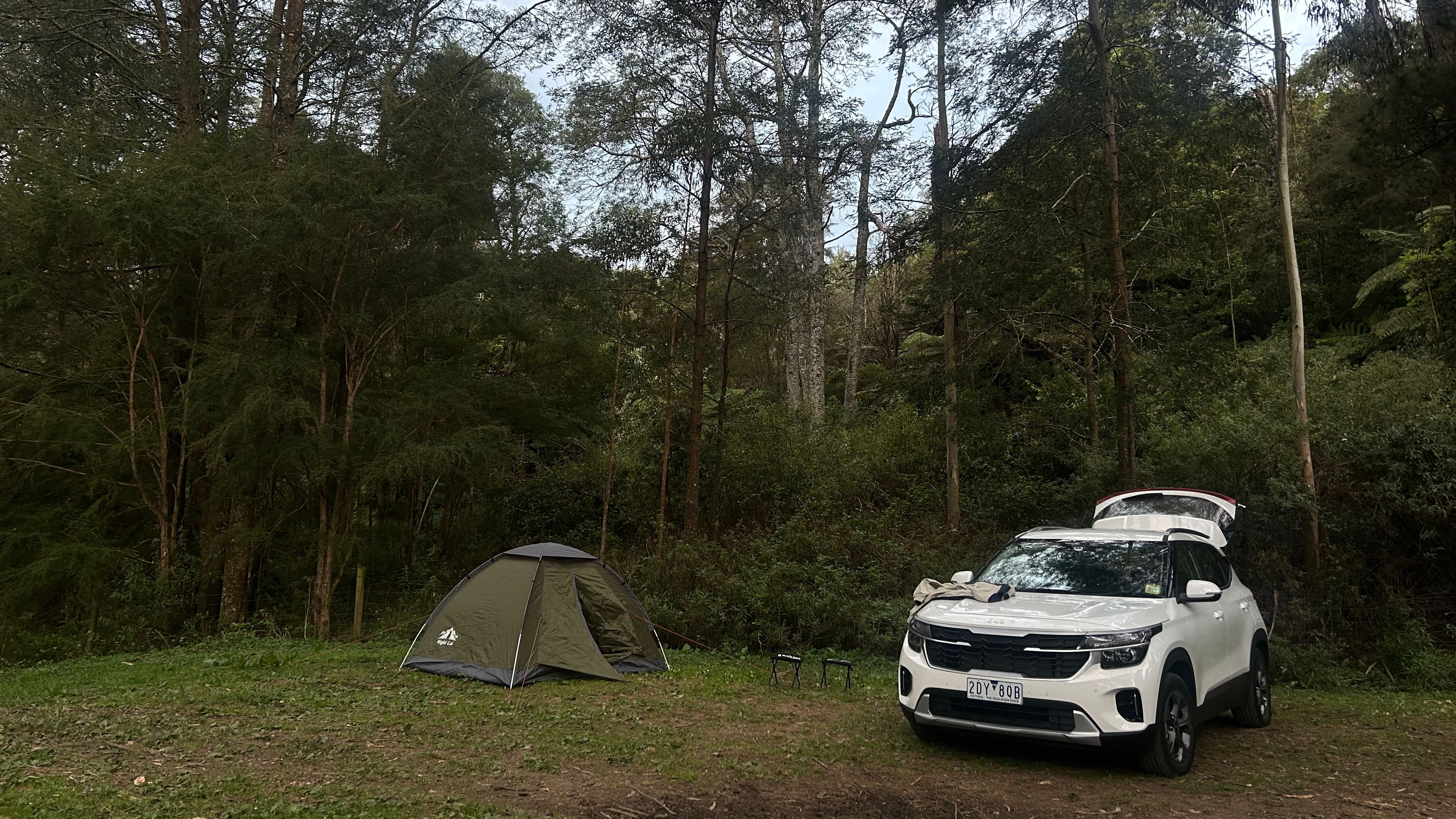 Reserva de Dingo Creek