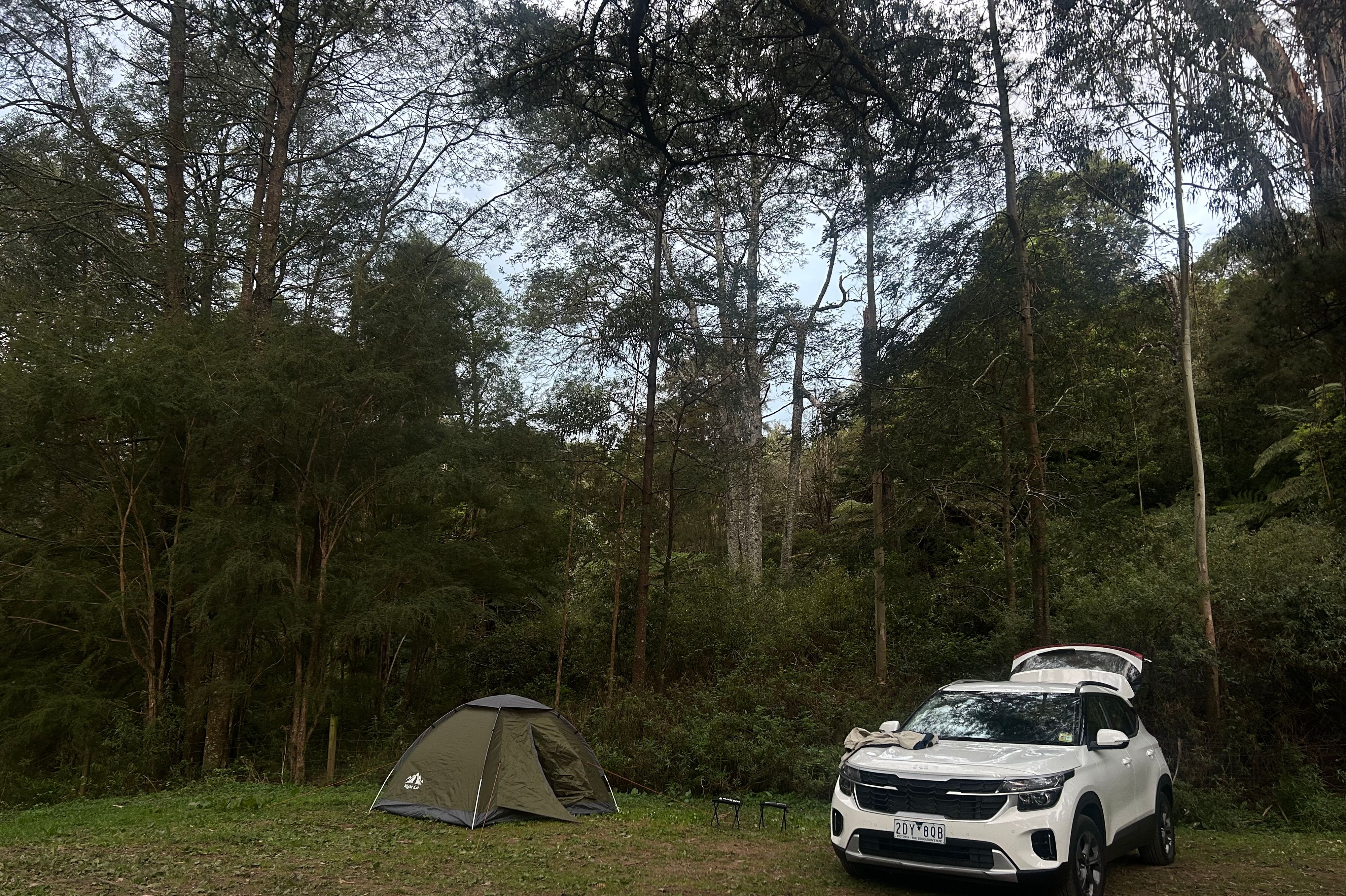 Reserva de Dingo Creek