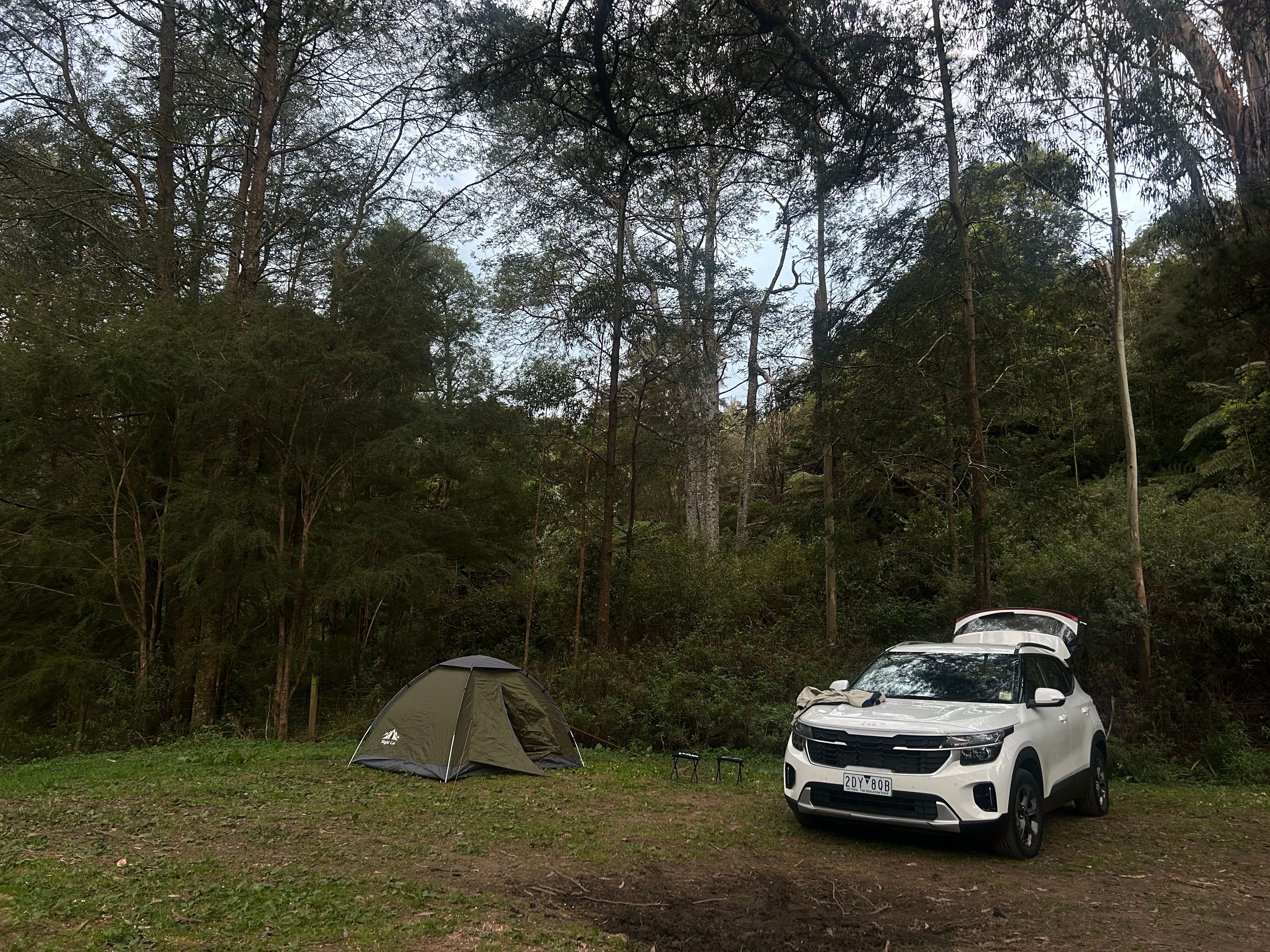 Reserva de Dingo Creek