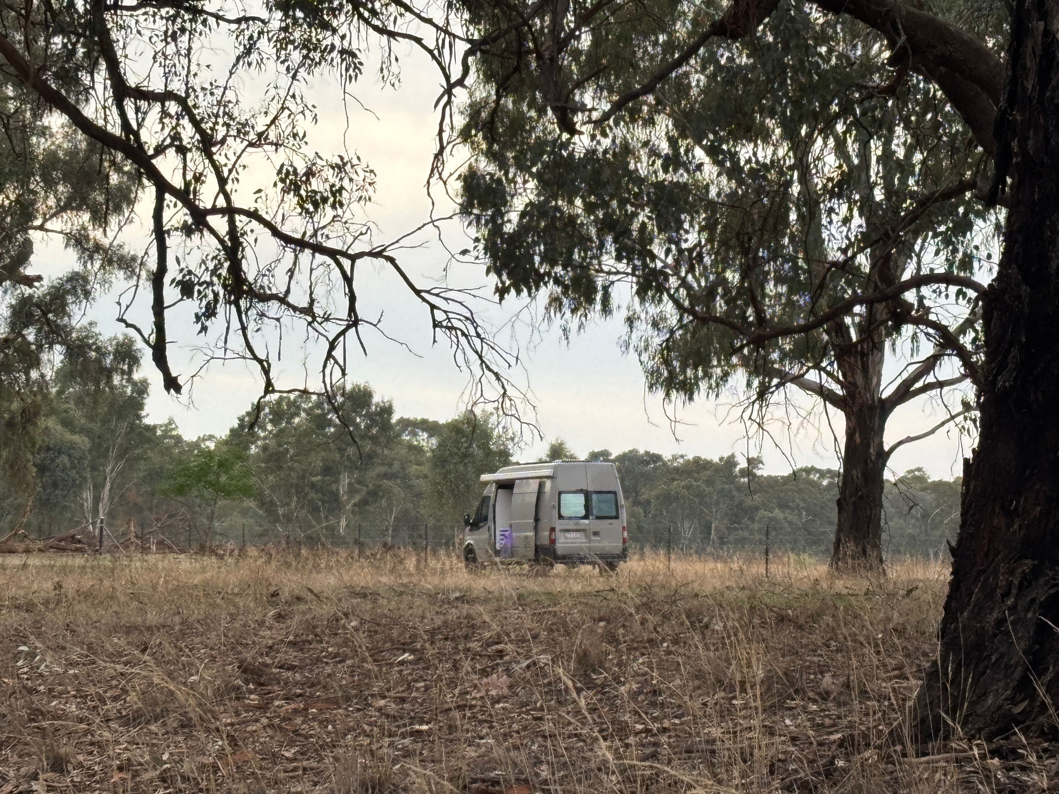 Billabong Creek Camp Area