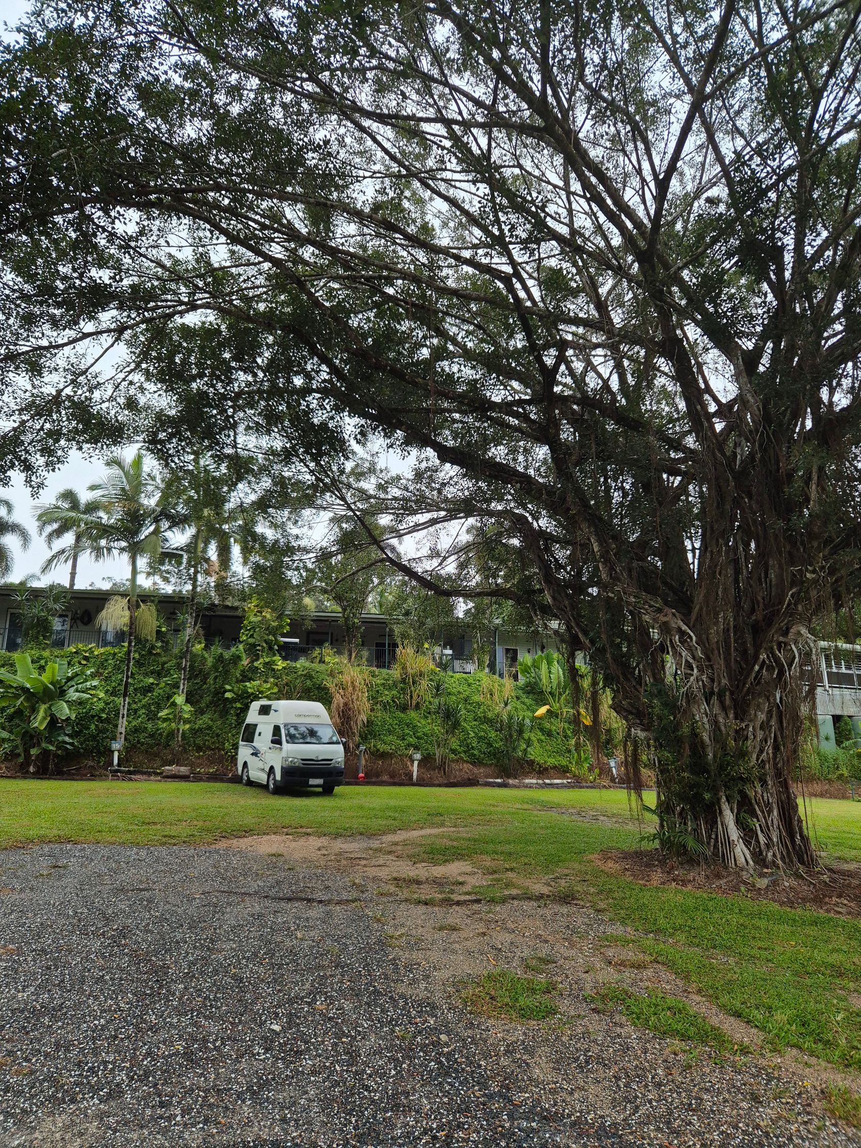 האותיות הקטנות של Daintree Riverview Lodges & Van Park