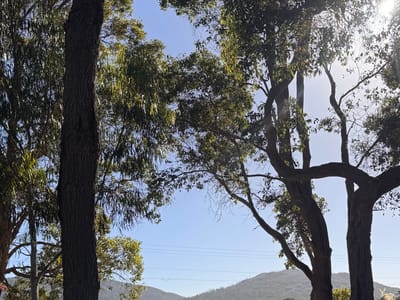Porongurup Range Turistik Parkı