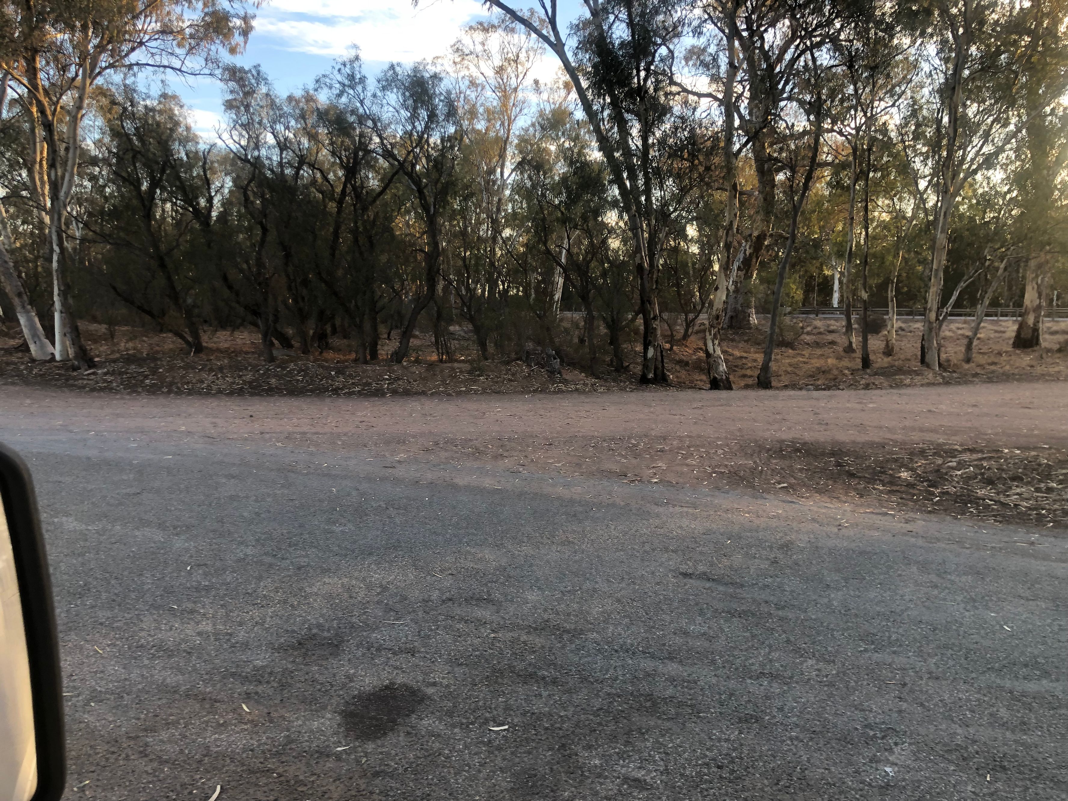 Отель Mambray Creek Rest Area - Image 2