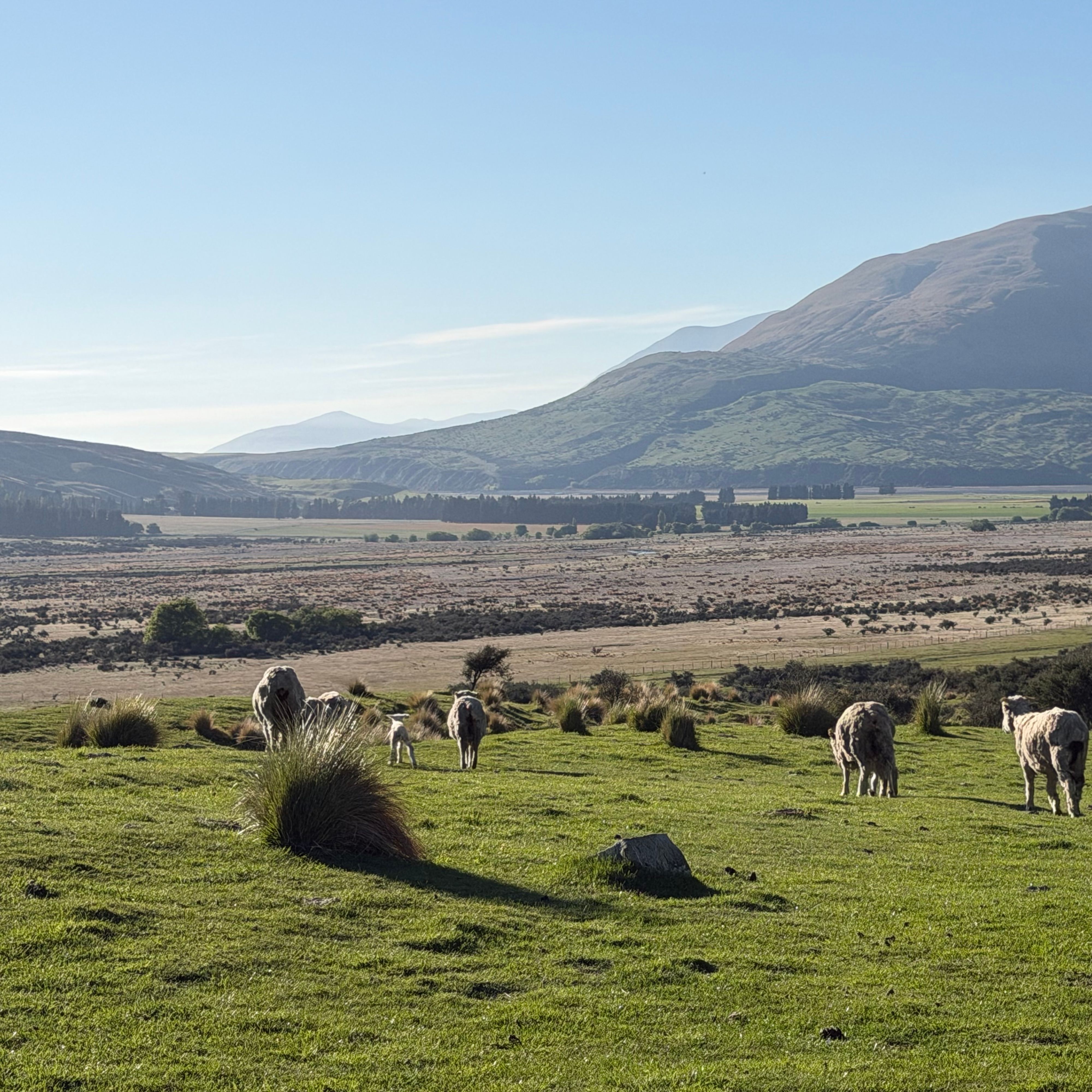 Reisefoto von Mt Sunday/Edoras Track