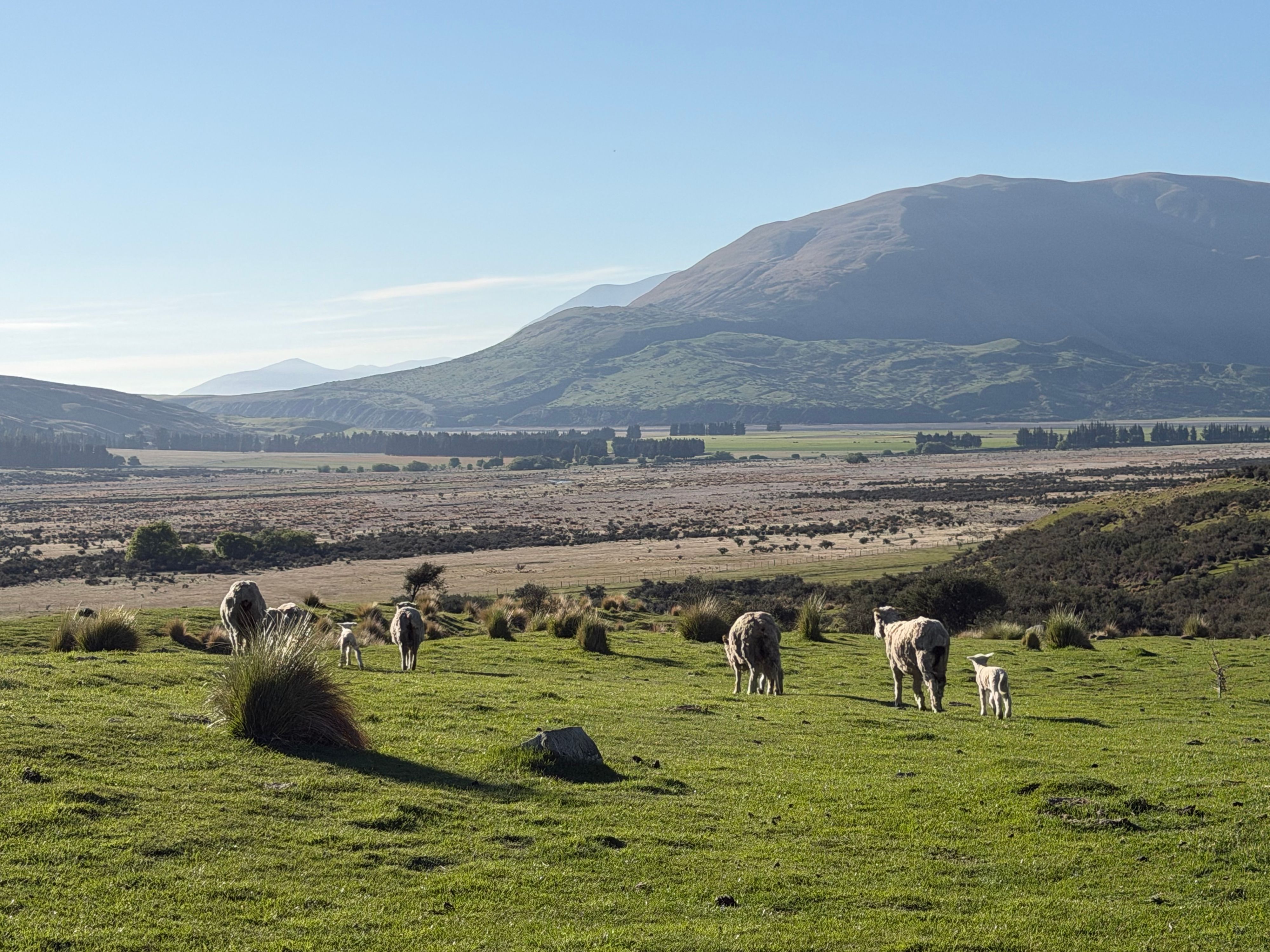 Reisefoto von Mt Sunday/Edoras Track