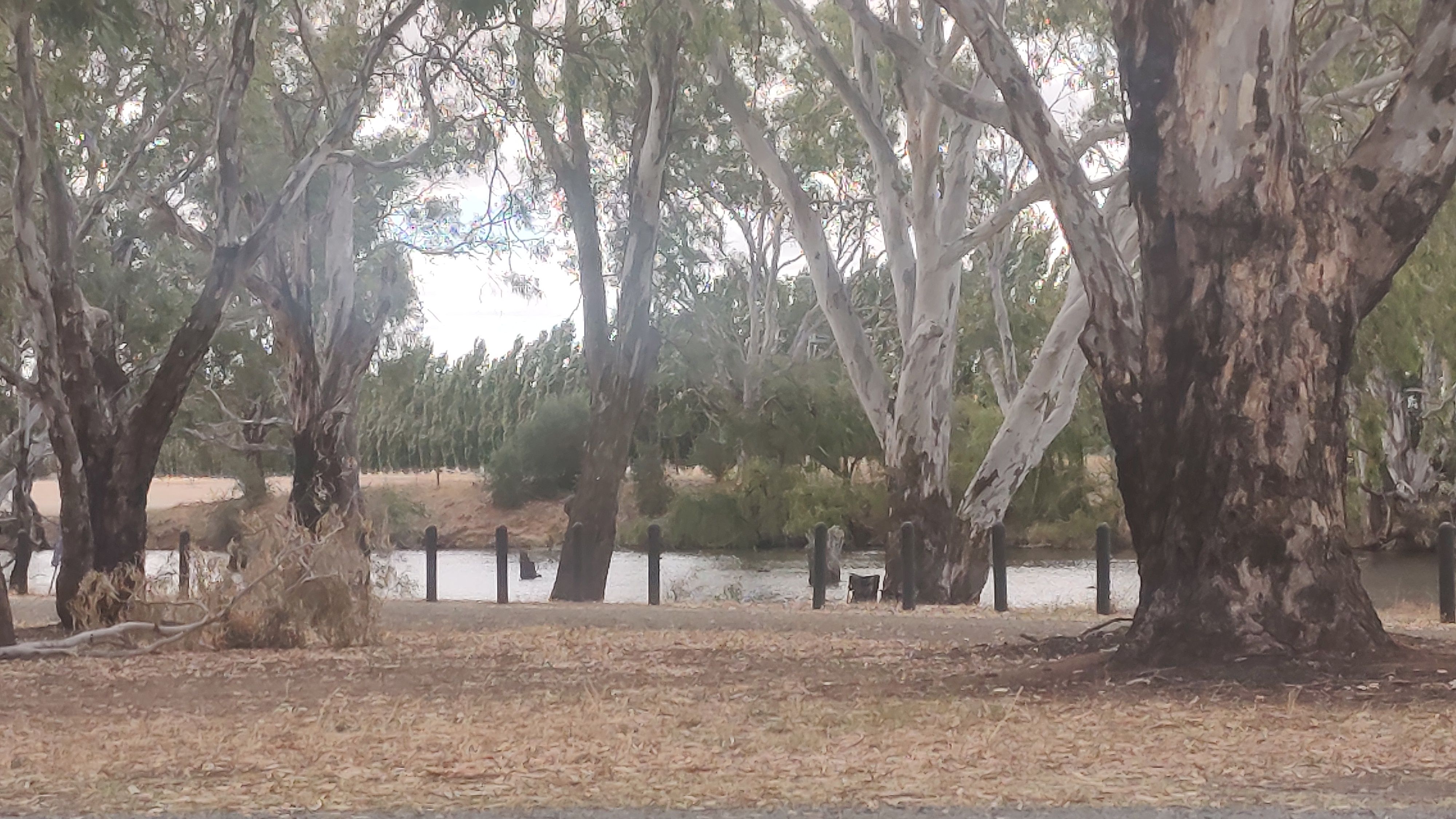 Aysons Reserve - Image 3