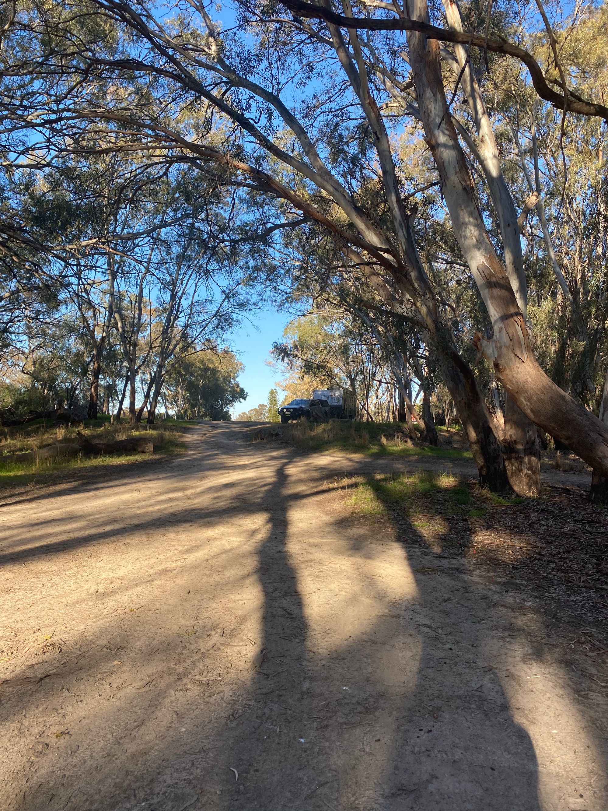 Billabong Creek - Image 3