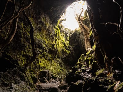 Lava Caves Rangitoto Island(ランジットートー島)