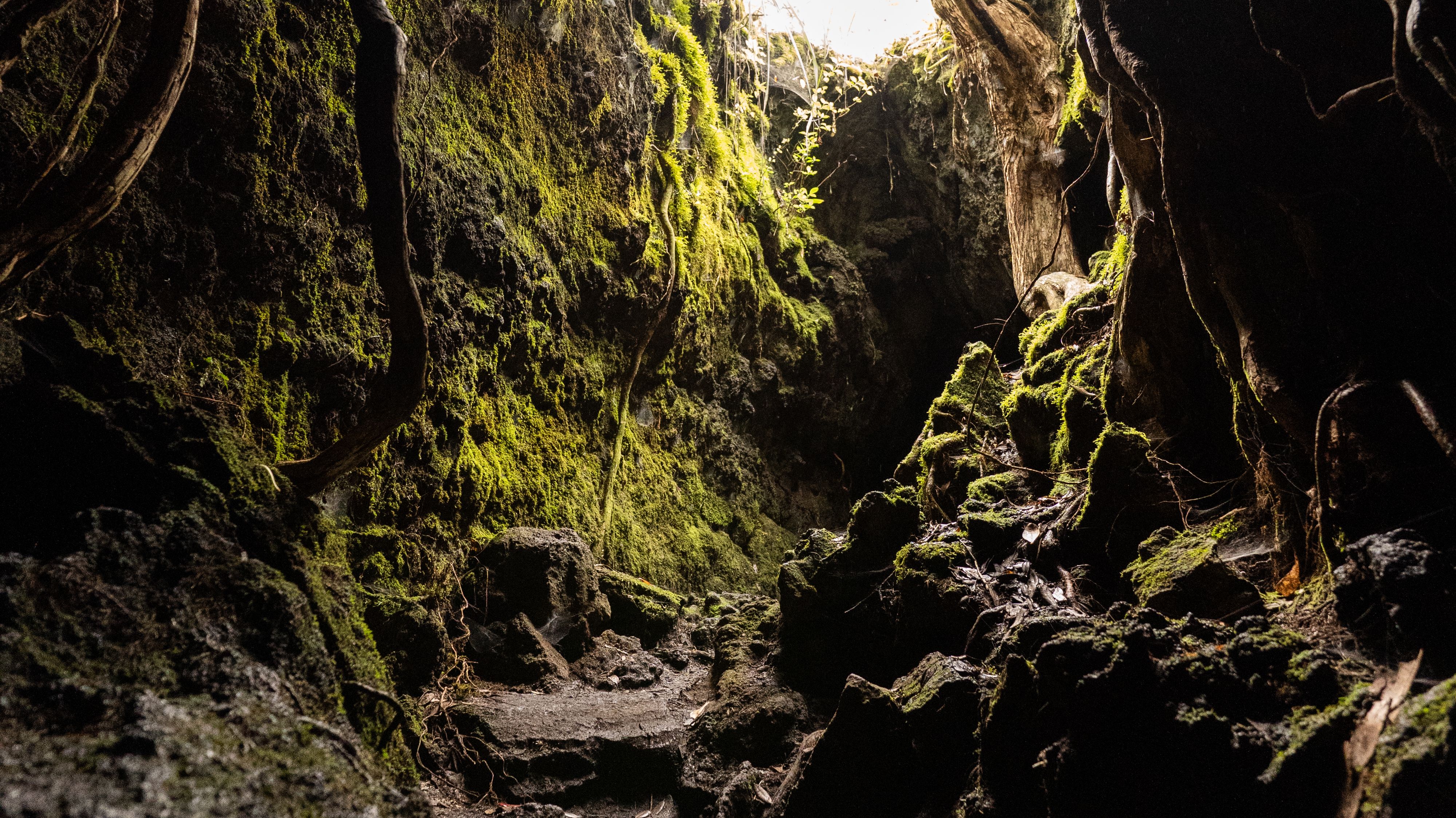Lava Caves Rangitoto Island 근처 오락거리