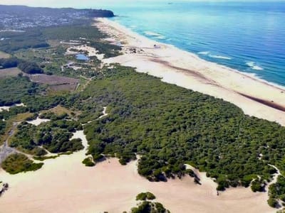 Belmont Wetlands State Park Campground