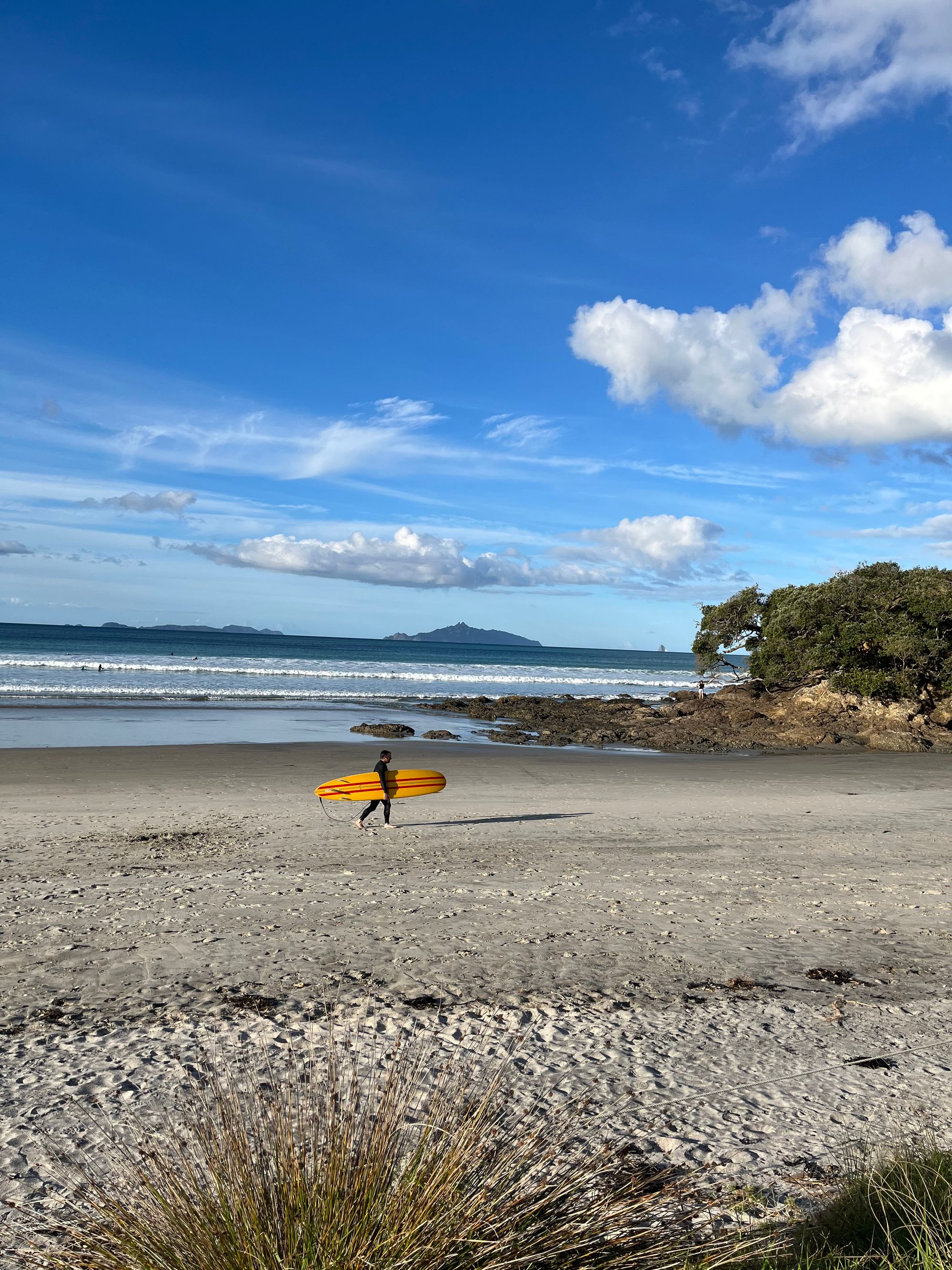 Waipu Cove - Image 3