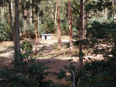 Scotts Reserve