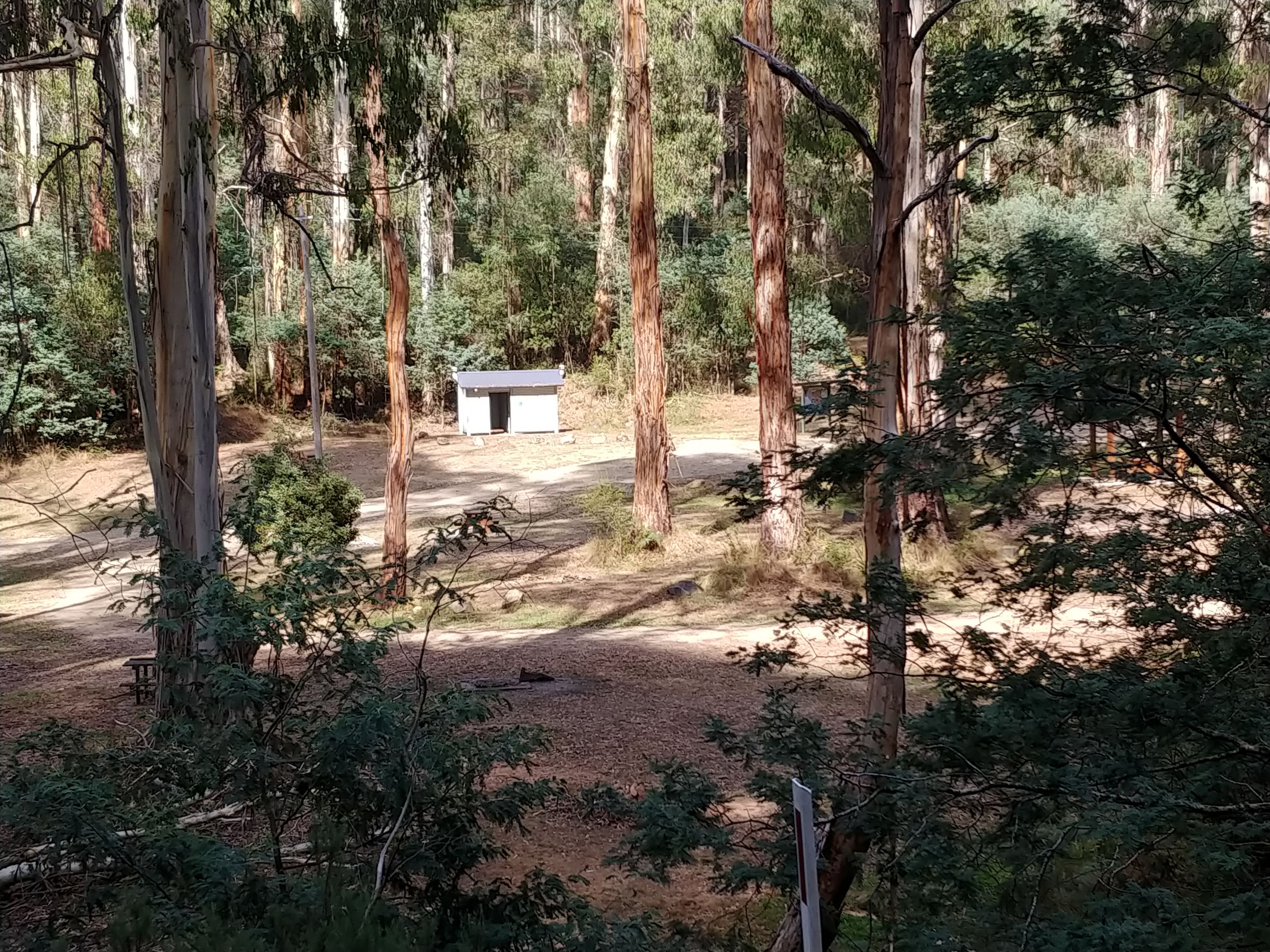 Scotts Reserve