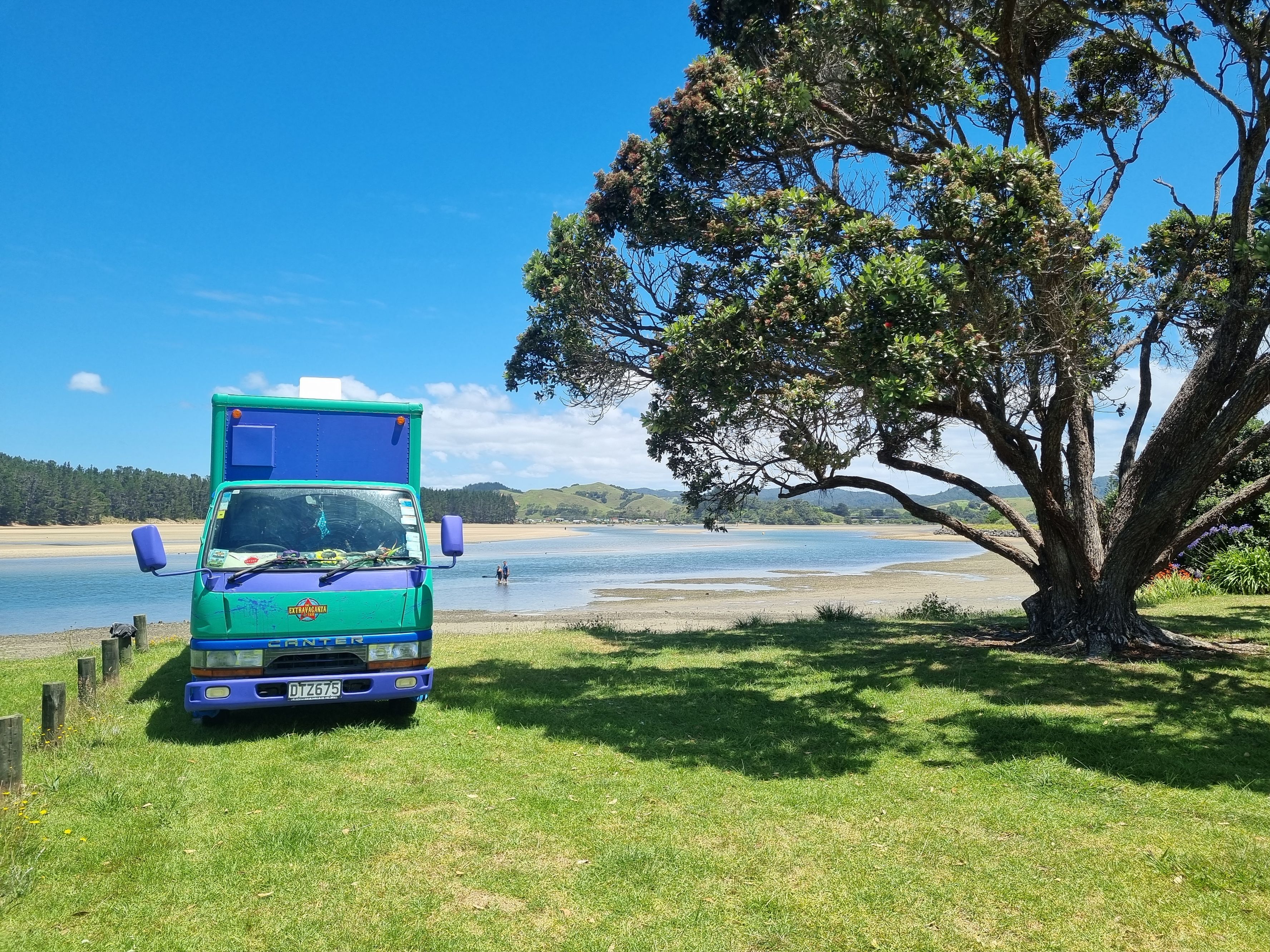 Whananaaki Nord - Image 2