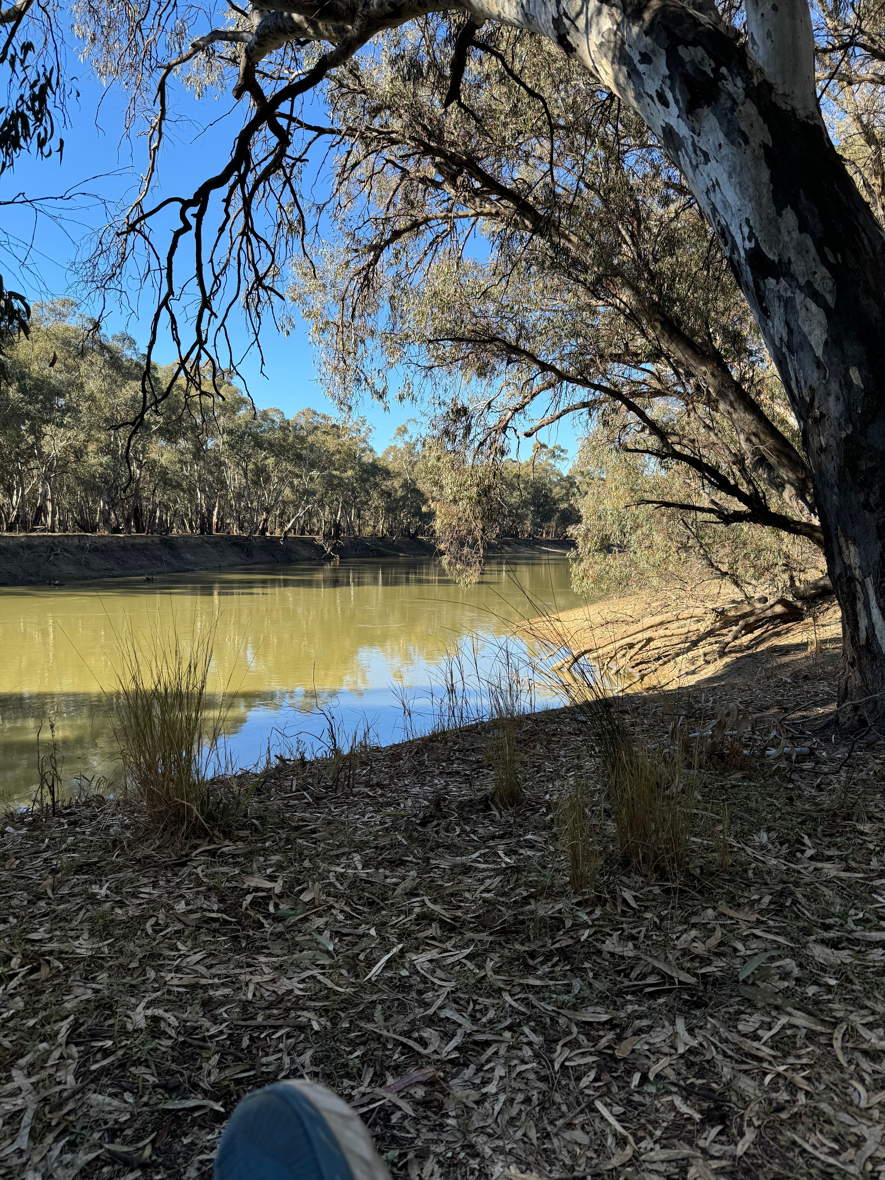 Nyah-Vinifera Park Camp Area No.2 - Image 2