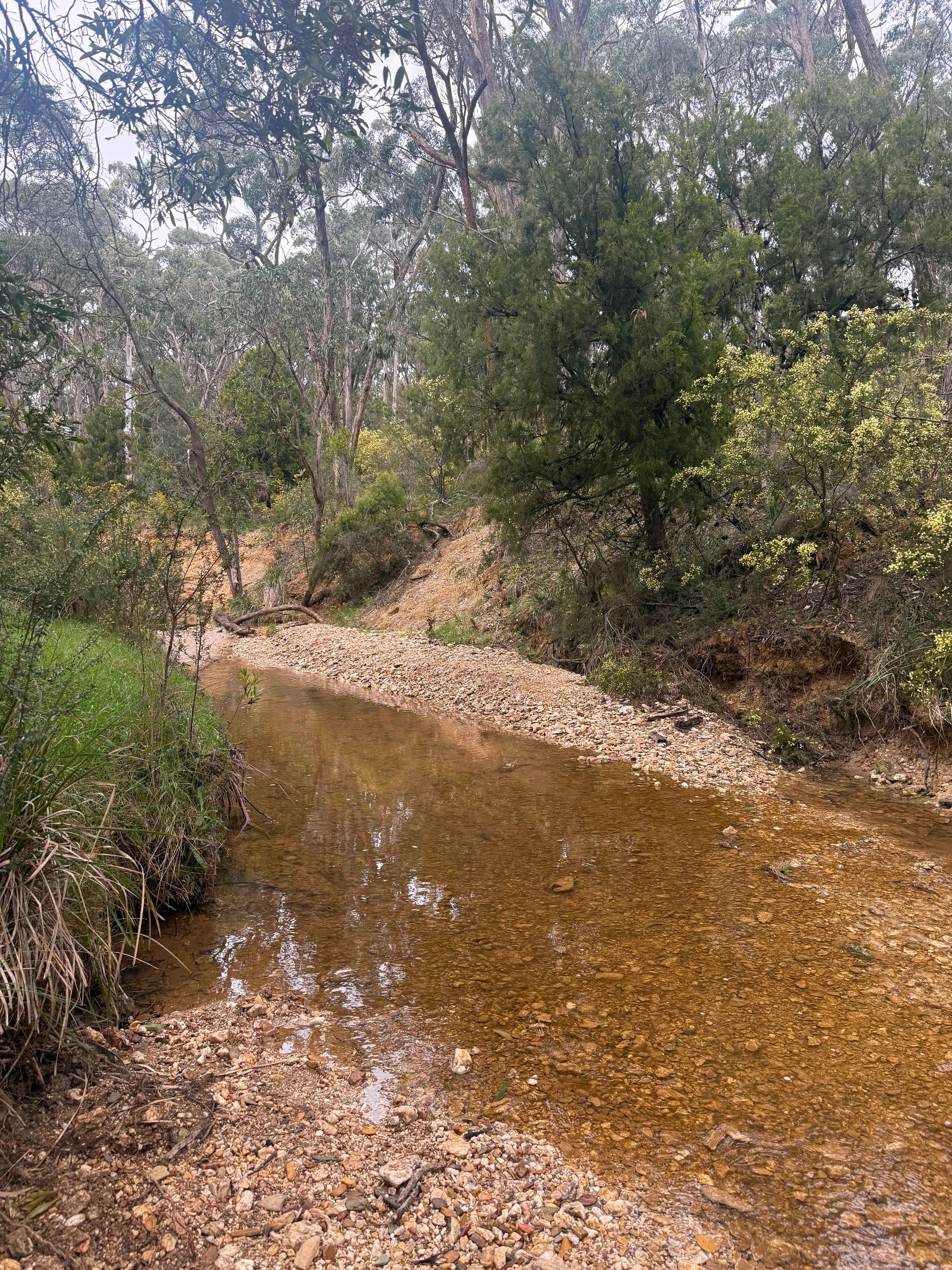 Traveller photo of Slaty Creek Campground - Creswick Regional Park