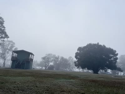 Лагерь Boynedale Bush