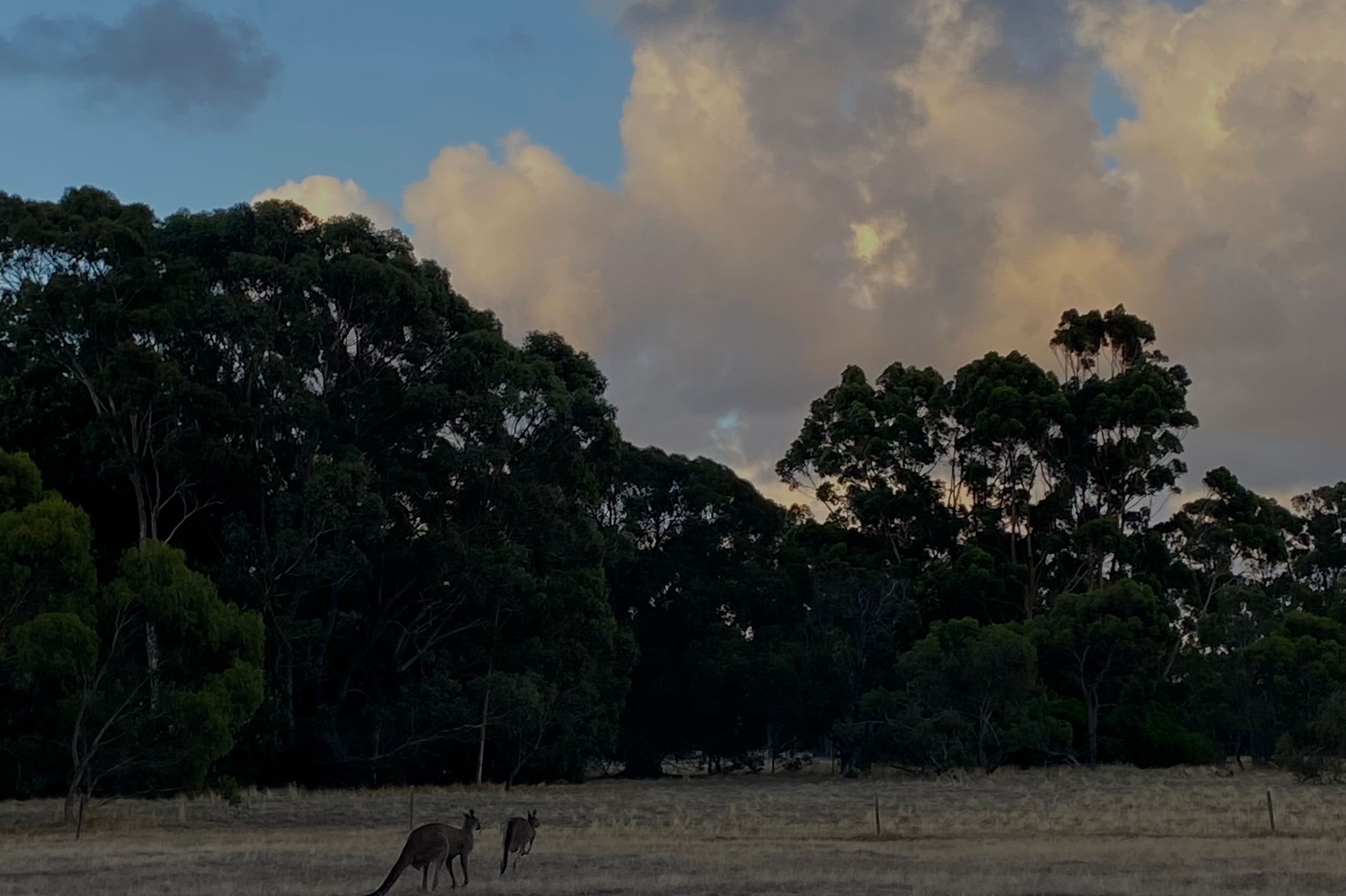 Hôtel Glenbrook Estate Campground - Image 3