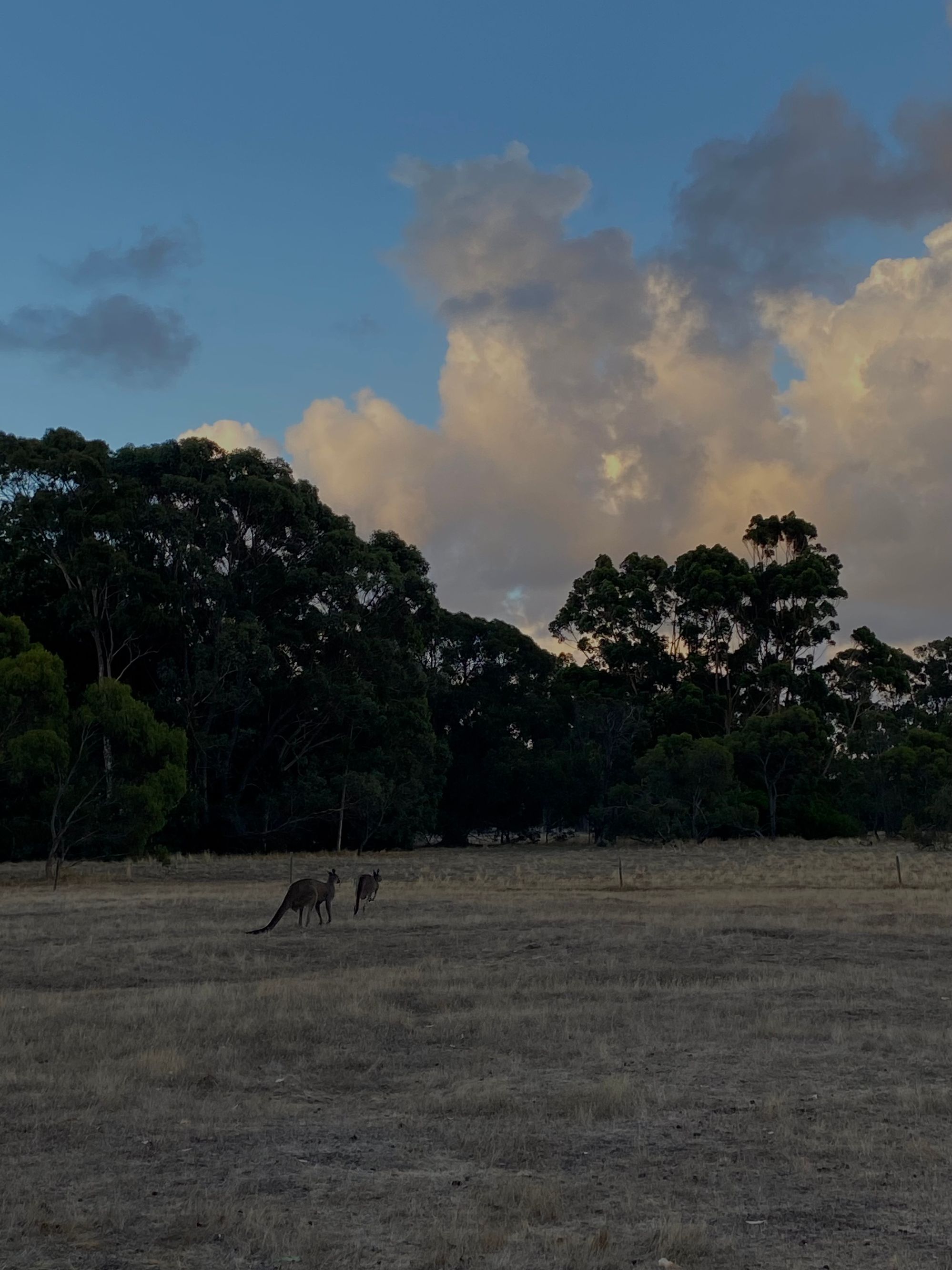 Glenbrook Estate Campground - Image 3