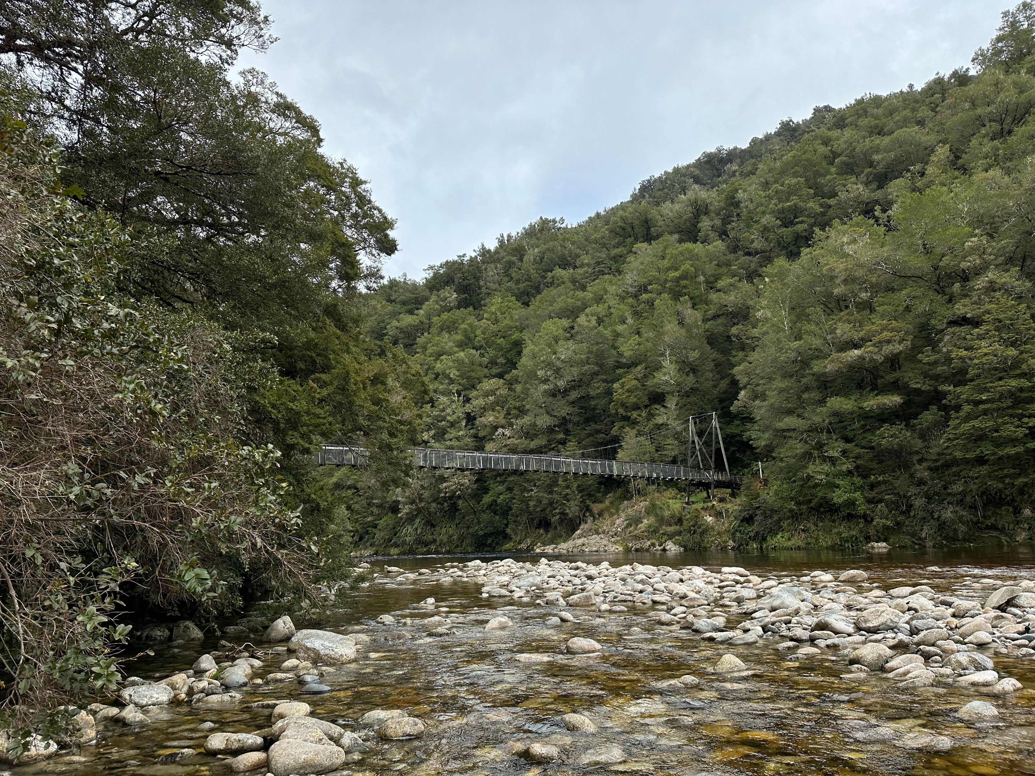 Murray Creek Goldfield ट्रैक - Image 3