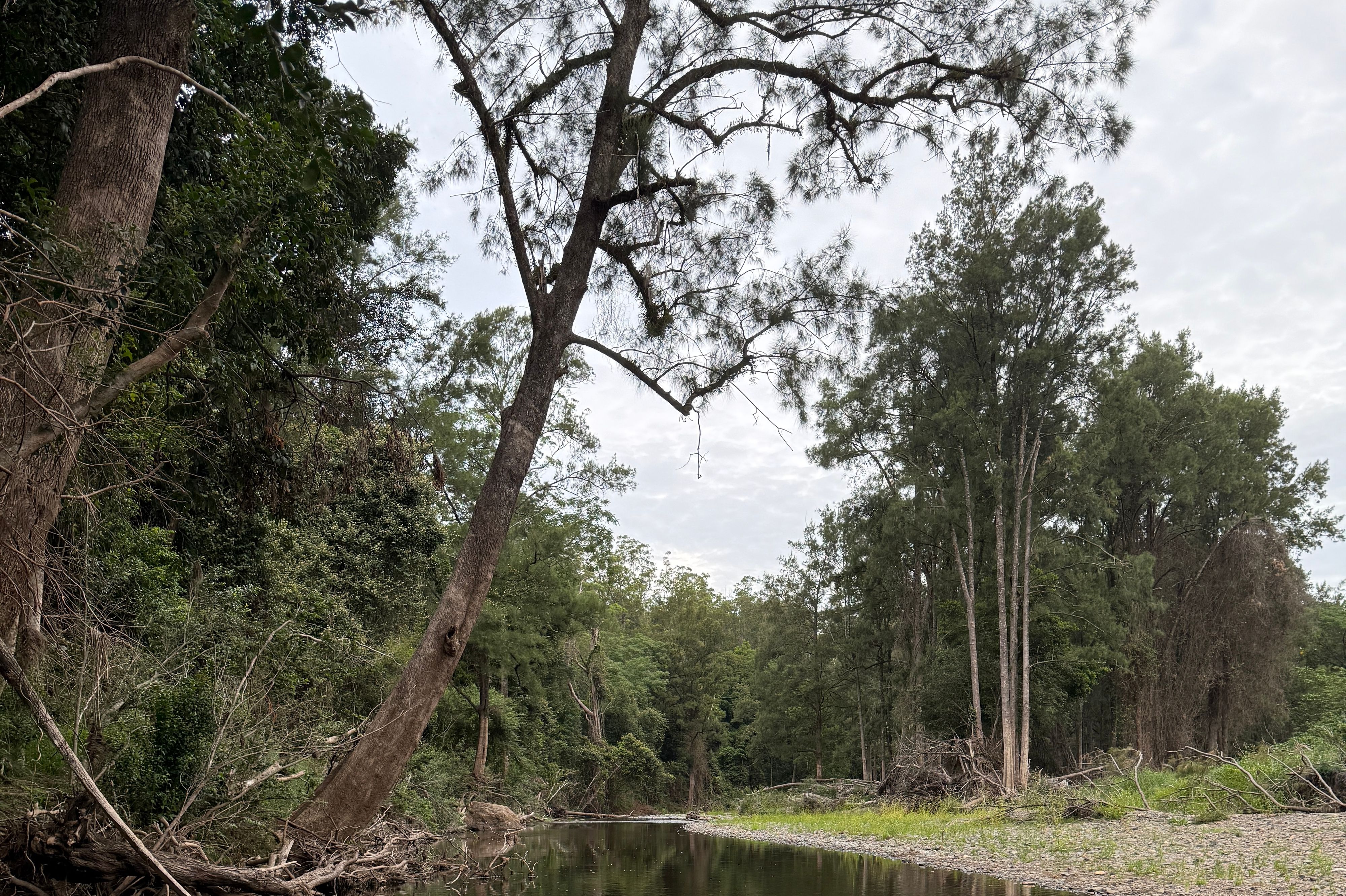 Le camping de Woko - Image 2