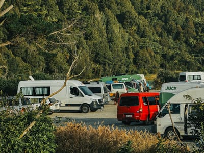 Fox River / Potikohua Freedom Camping Site