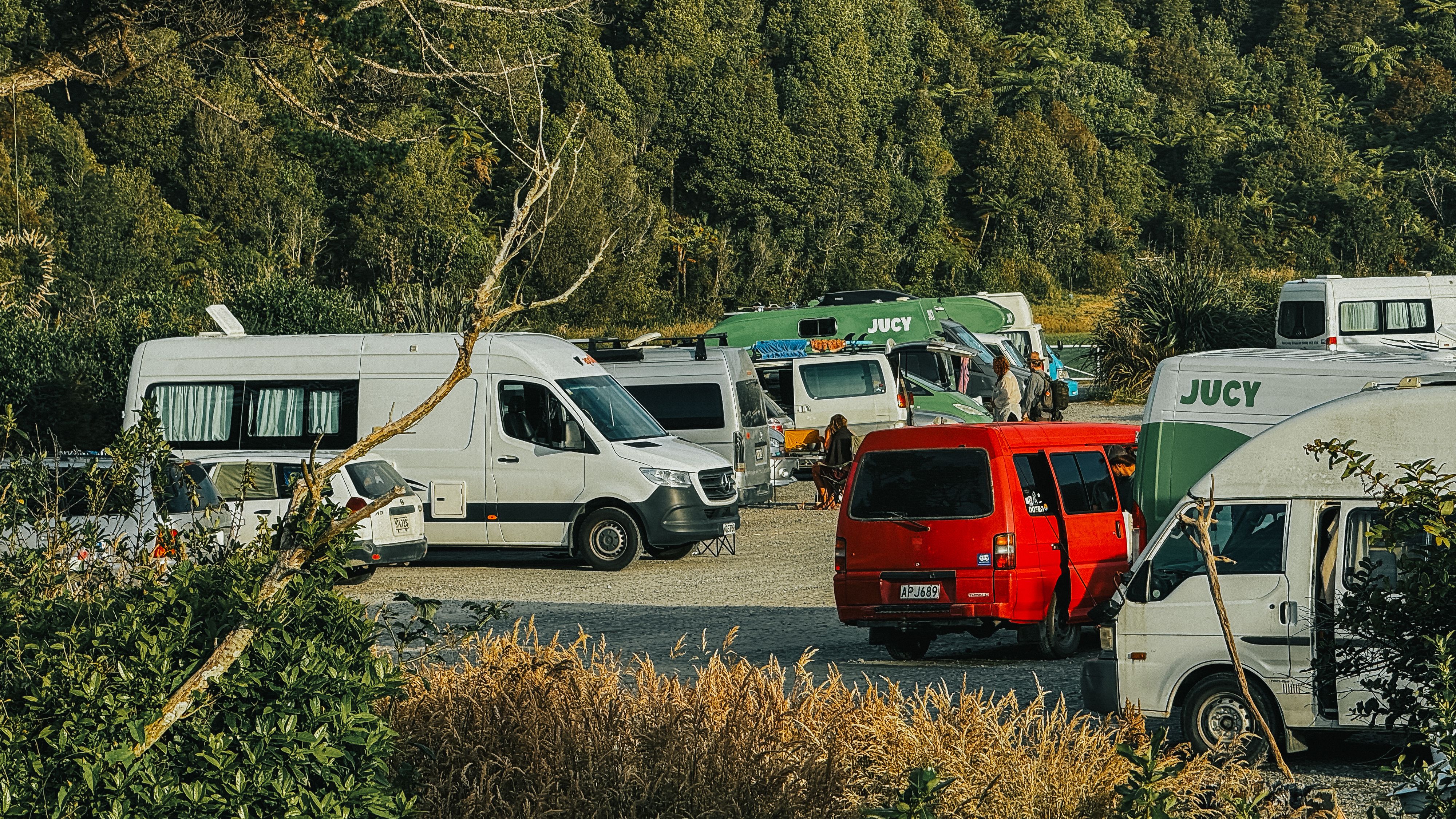Fox River / Potikohua Freedom Camping Site