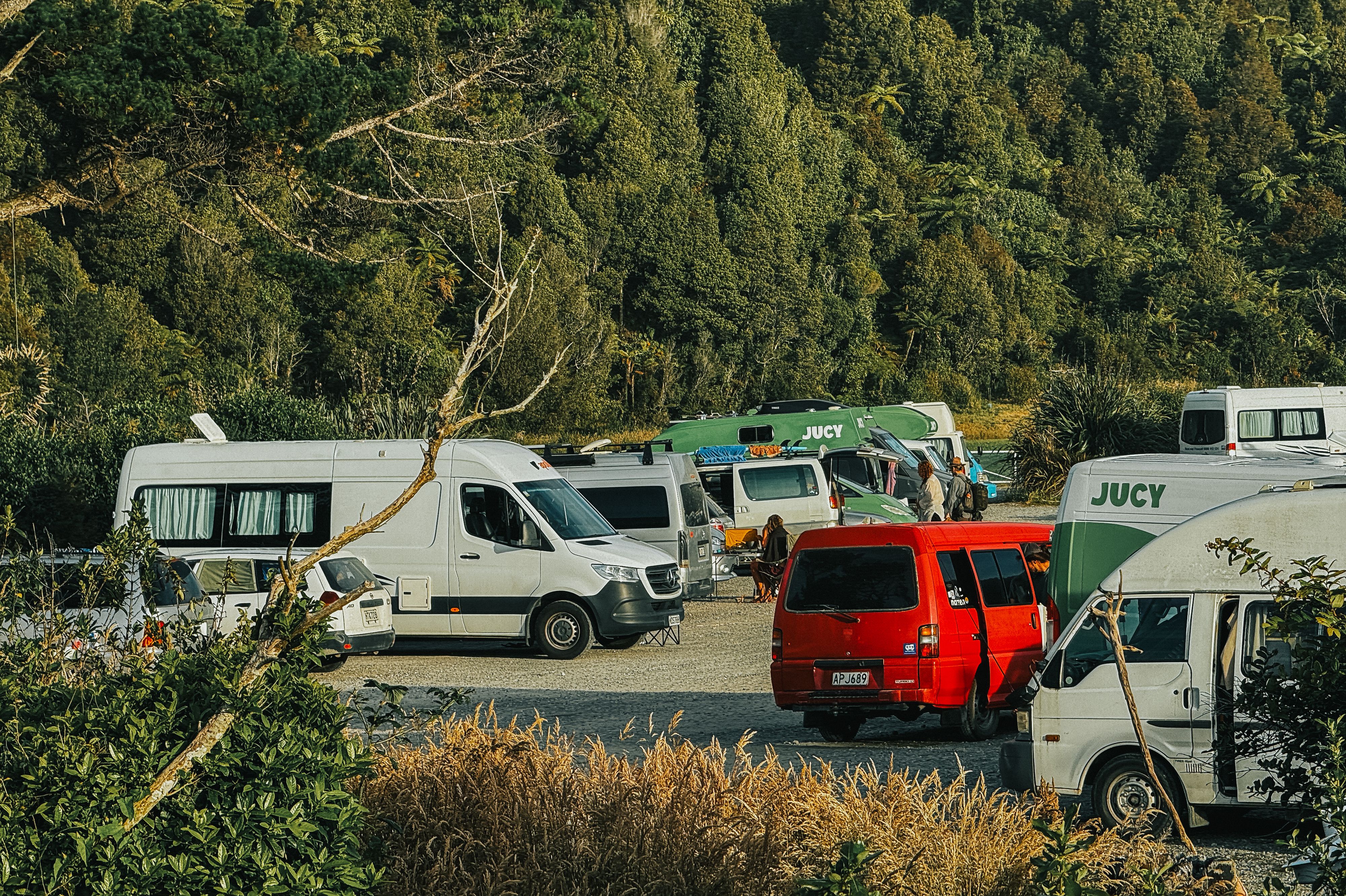 Fox River / Potikohua Freedom Camping Site