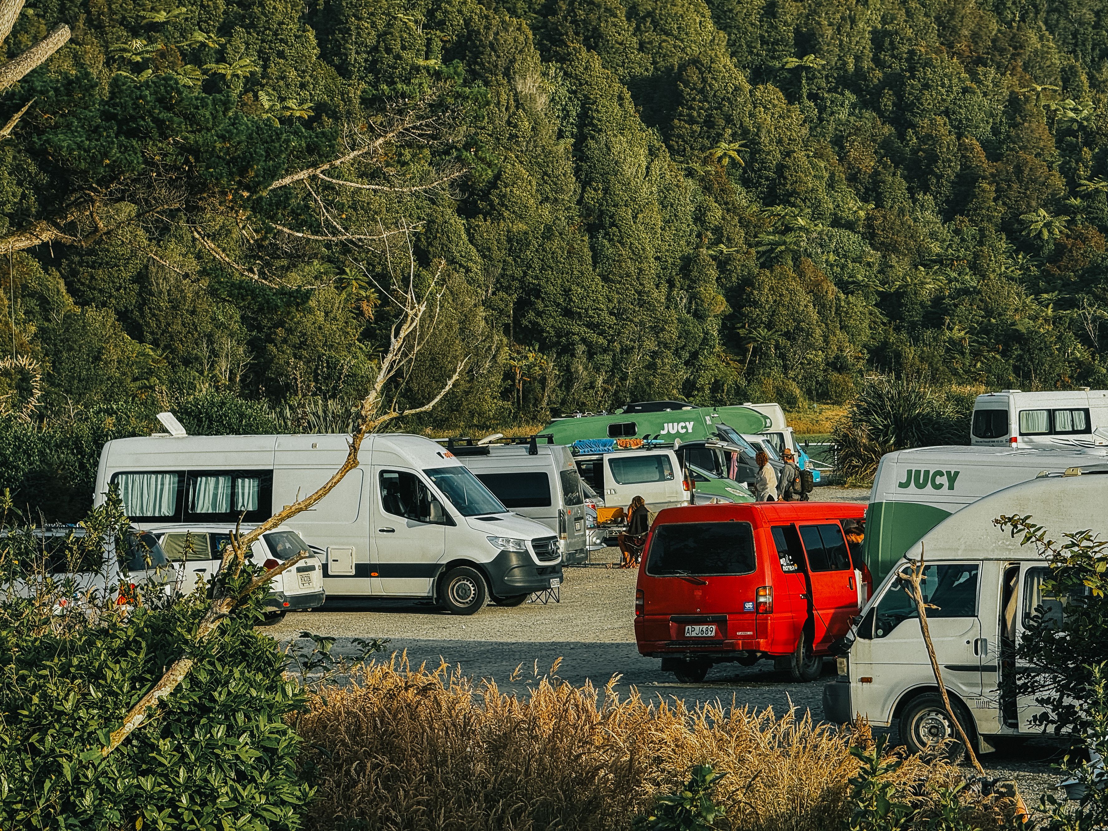 Fox River / Potikohua Freedom Camping Site