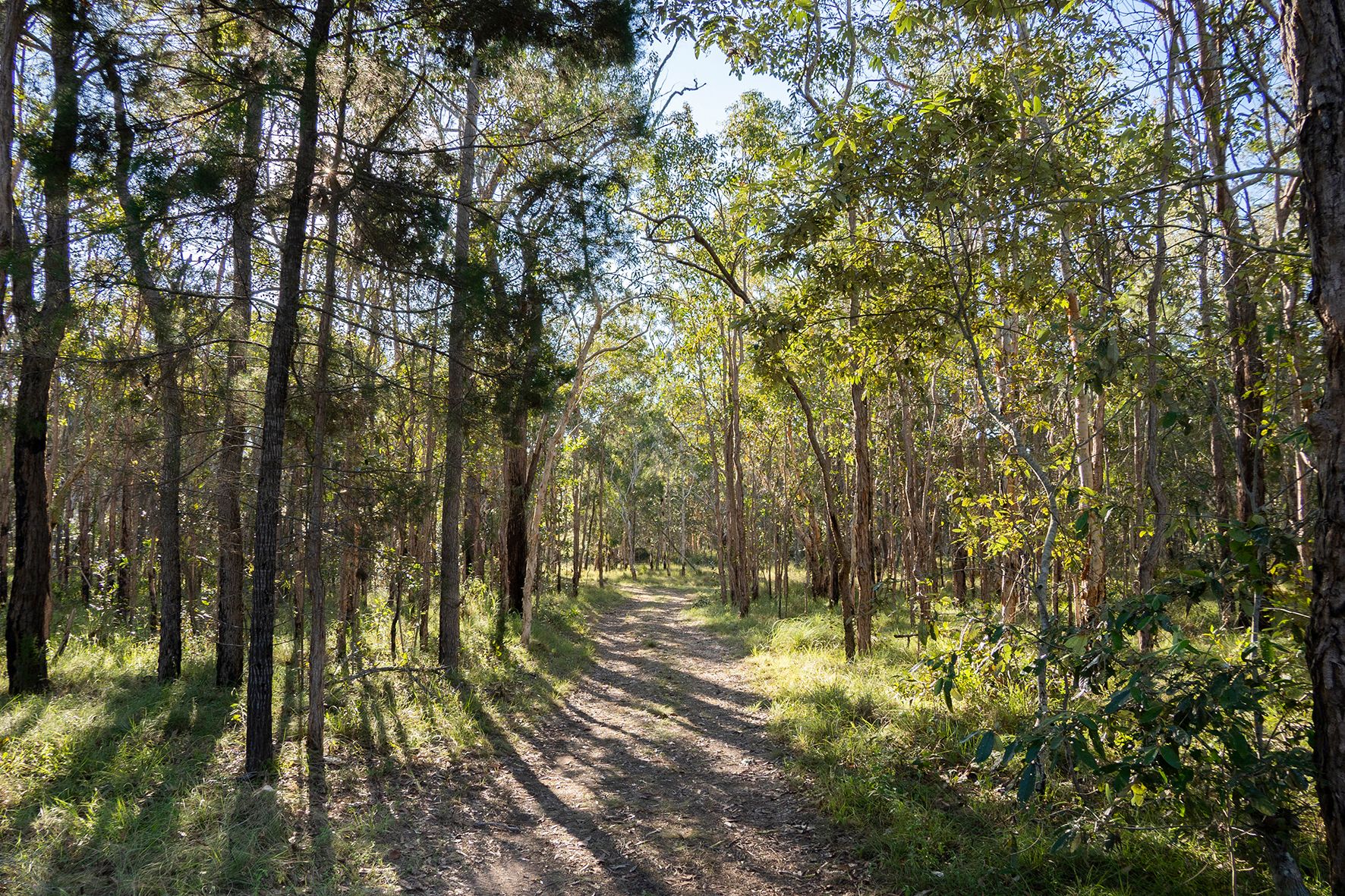 Woodlands Farm Stay and Glamping - Image 2
