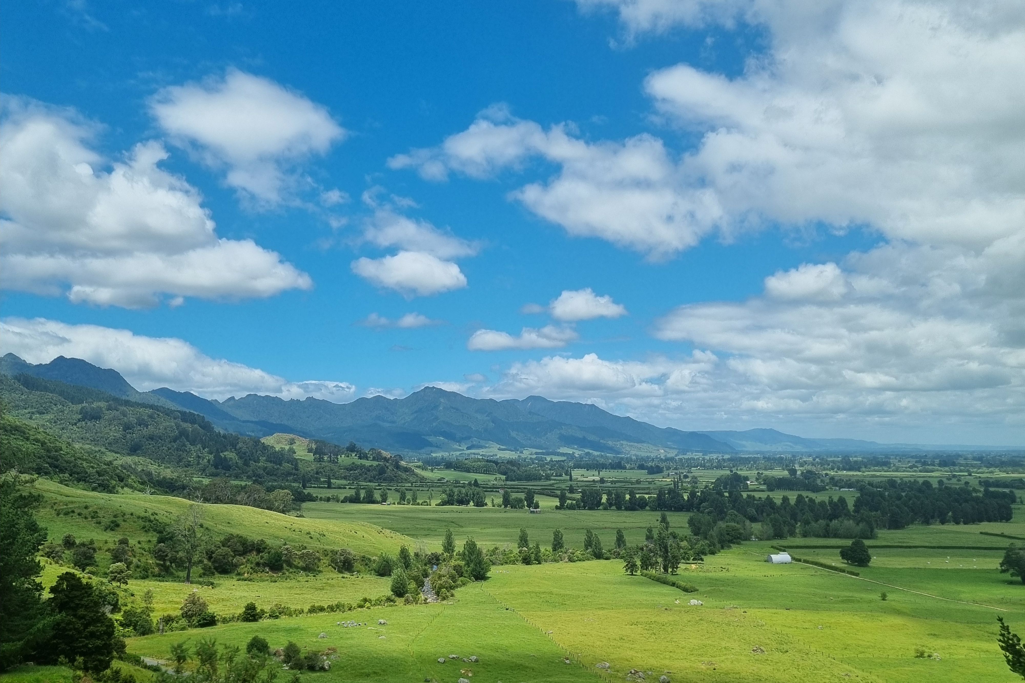 Waiorongomai Valley Walking Tracks - Image 2