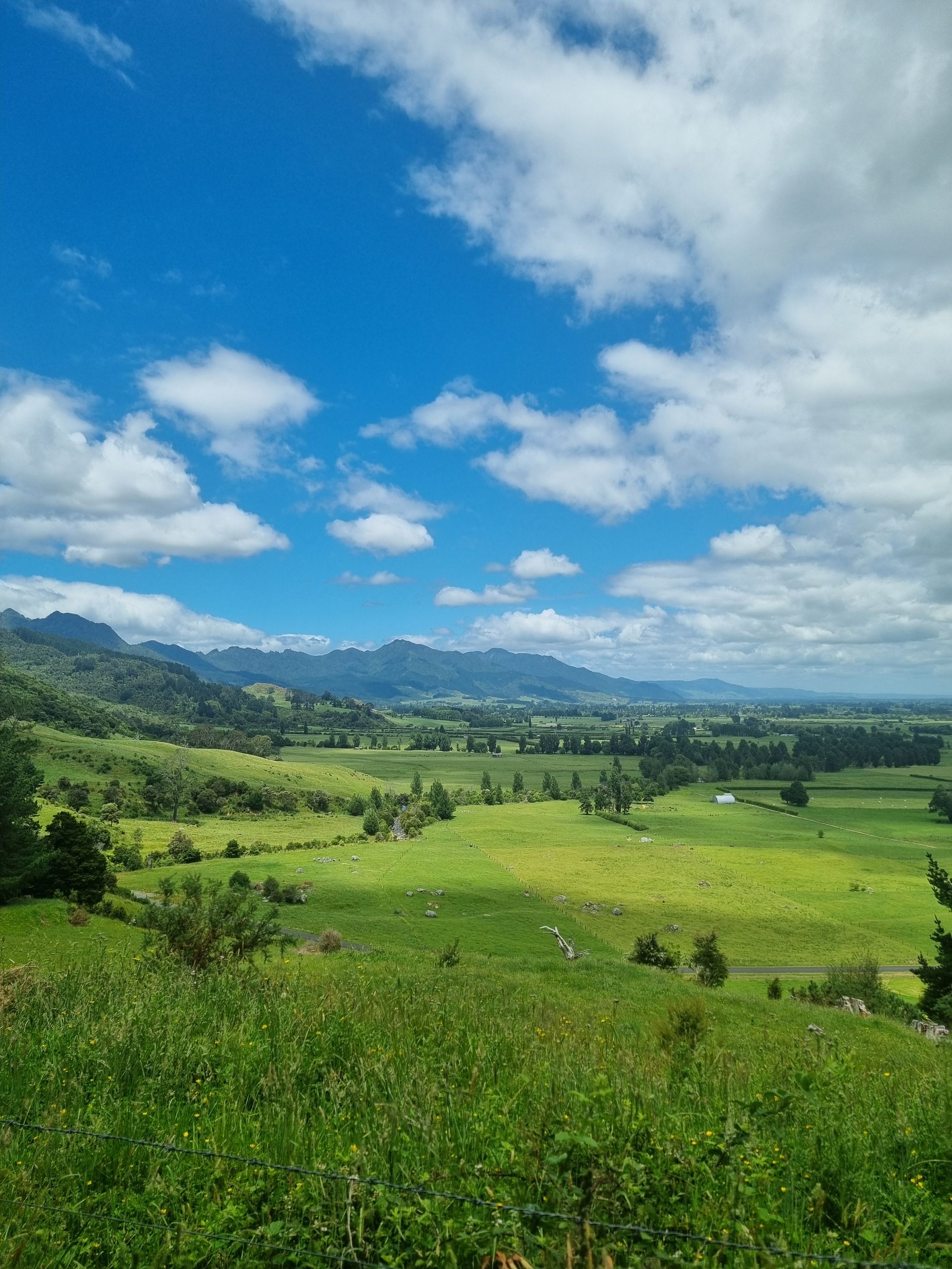 Waiorongomai Valley Walking Tracks - Image 2