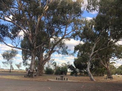 O Burnt Creek